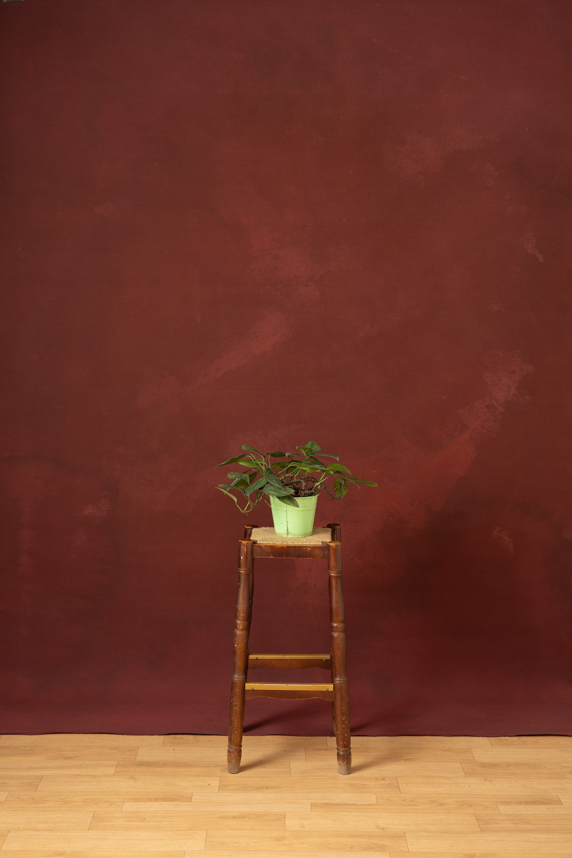Persian Plum Painted Canvas Backdrop (RN#06)
