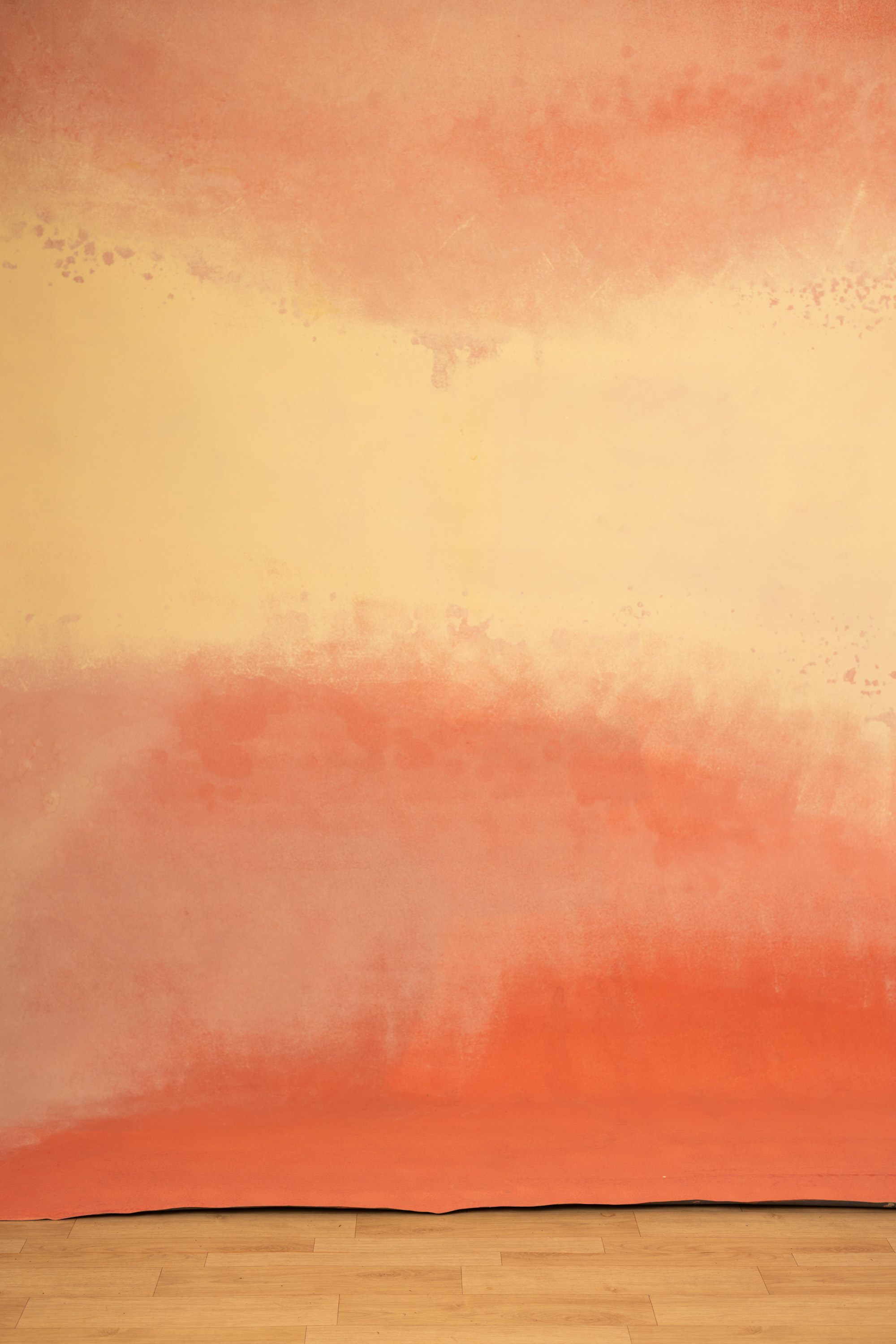 Ember Ash Painted Canvas Backdrop (RN#07)