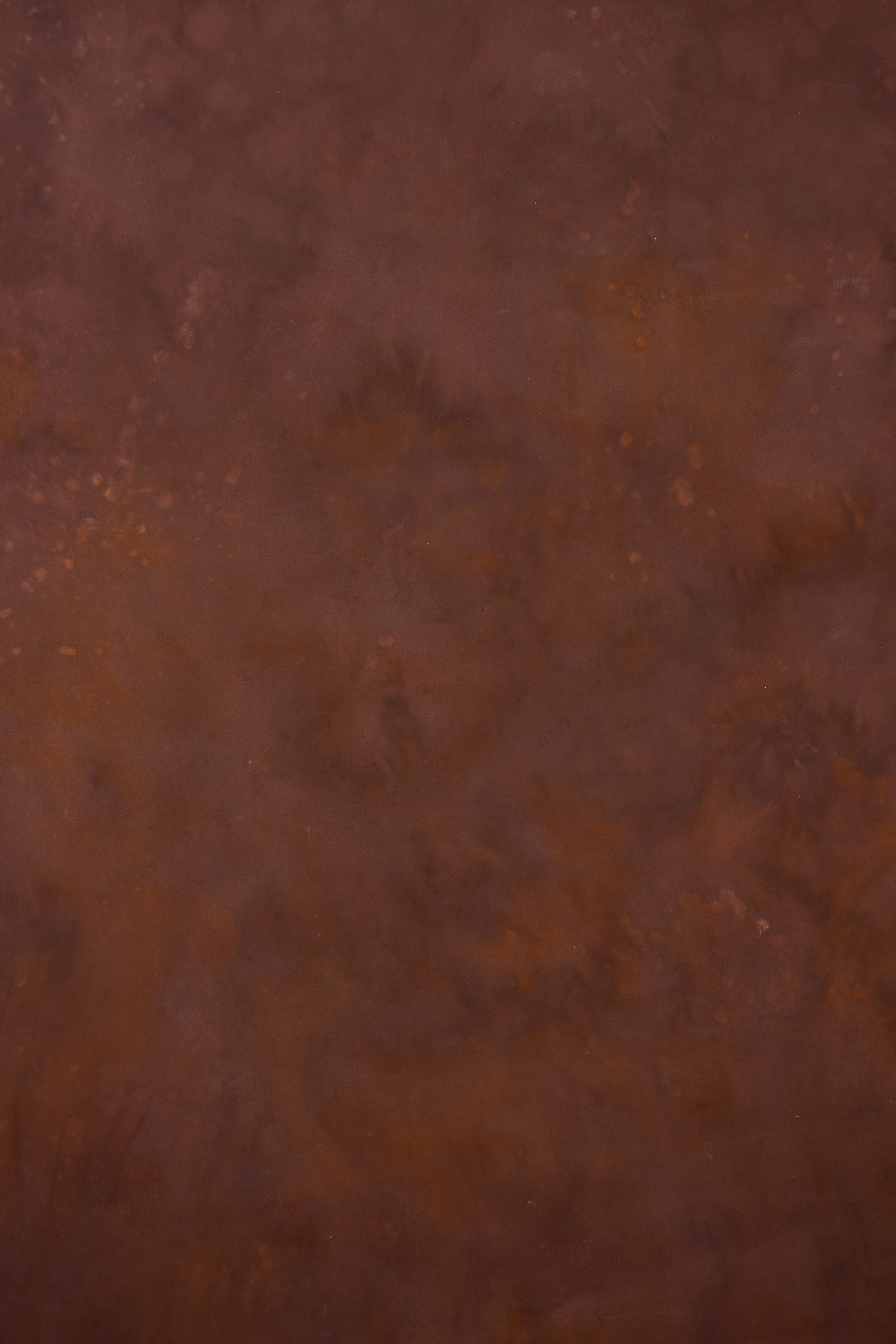 Copper Patina Painted Canvas Backdrop (RN#08) view 5