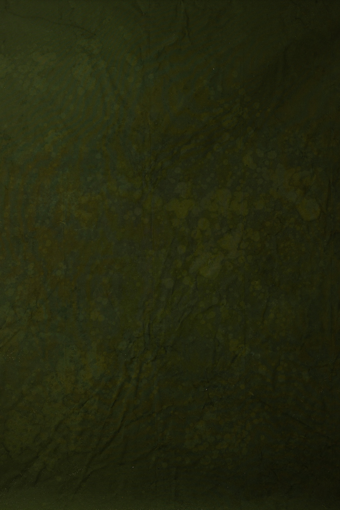 Zeus Olive Digital Backdrop (DB#10143)