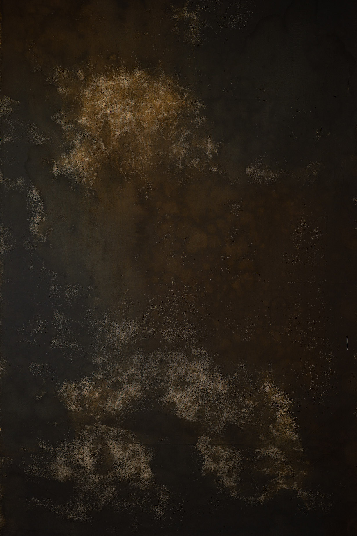 Wood Bark Digital Backdrop (DB#10135)