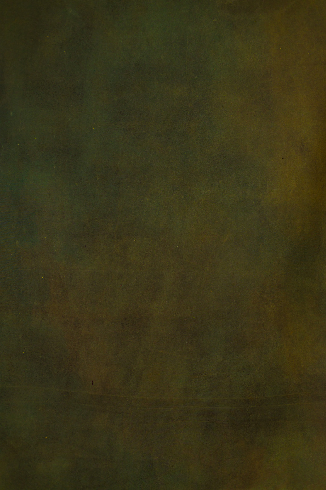 Thatch Green Digital Backdrop (DB#10126)