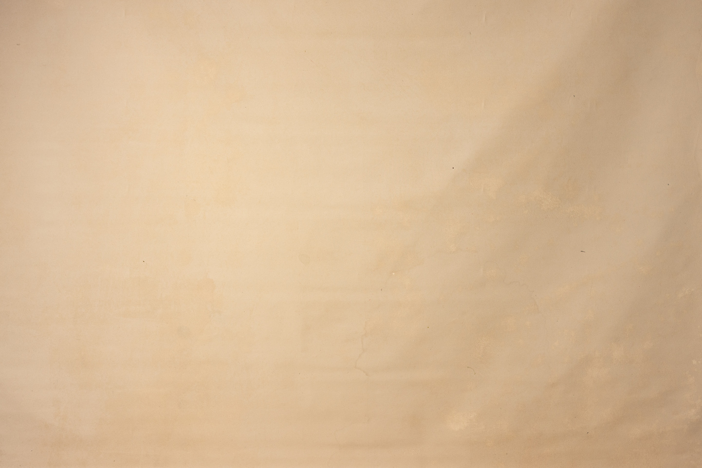 Submlime Cream Digital Backdrop (DB#10146)