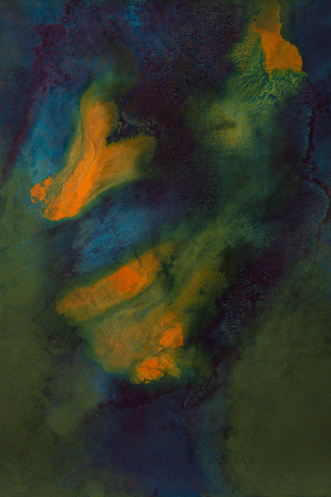 Seaweed Digital Backdrop (DB#10262)