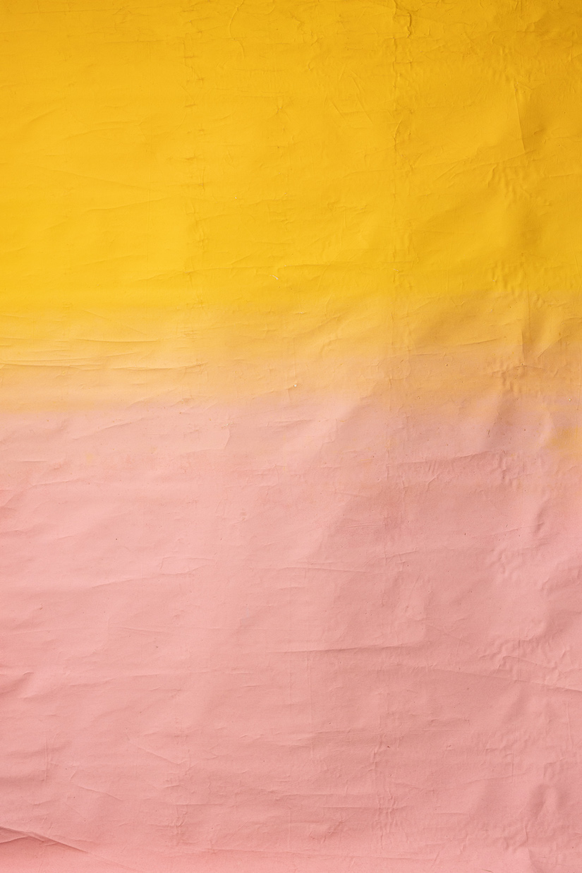 Saffron Digital Backdrop (DB#10061)