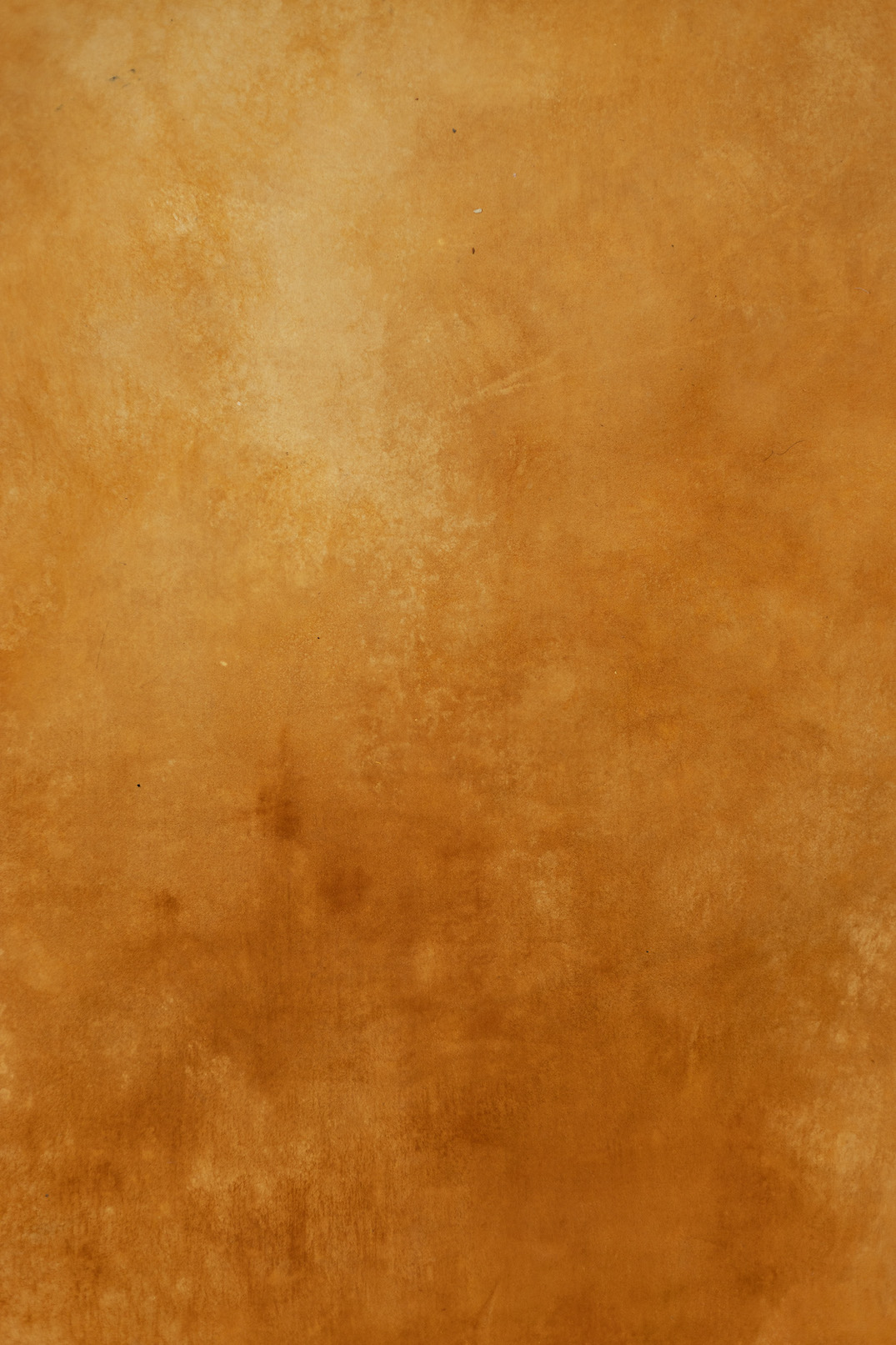Ruddy Brown Digital Backdrop (DB#10118)