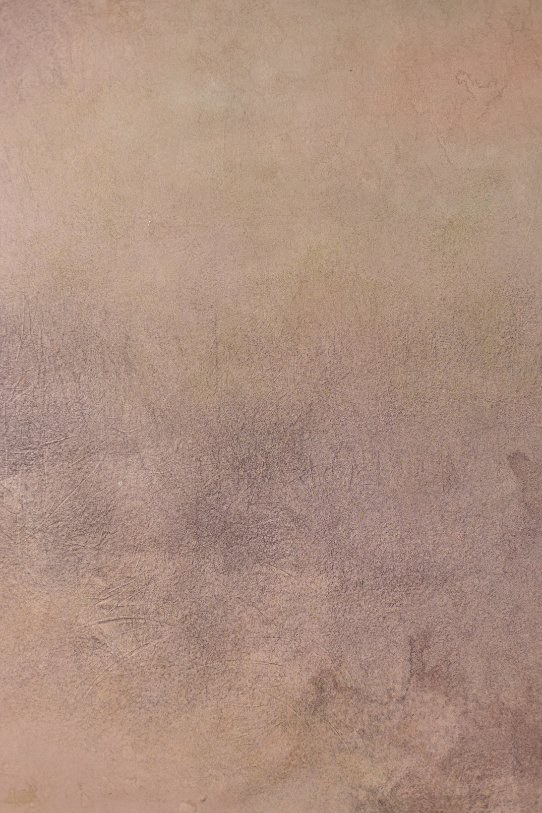 Rosy Brown mule fawn Digital Backdrop (DB#10112)