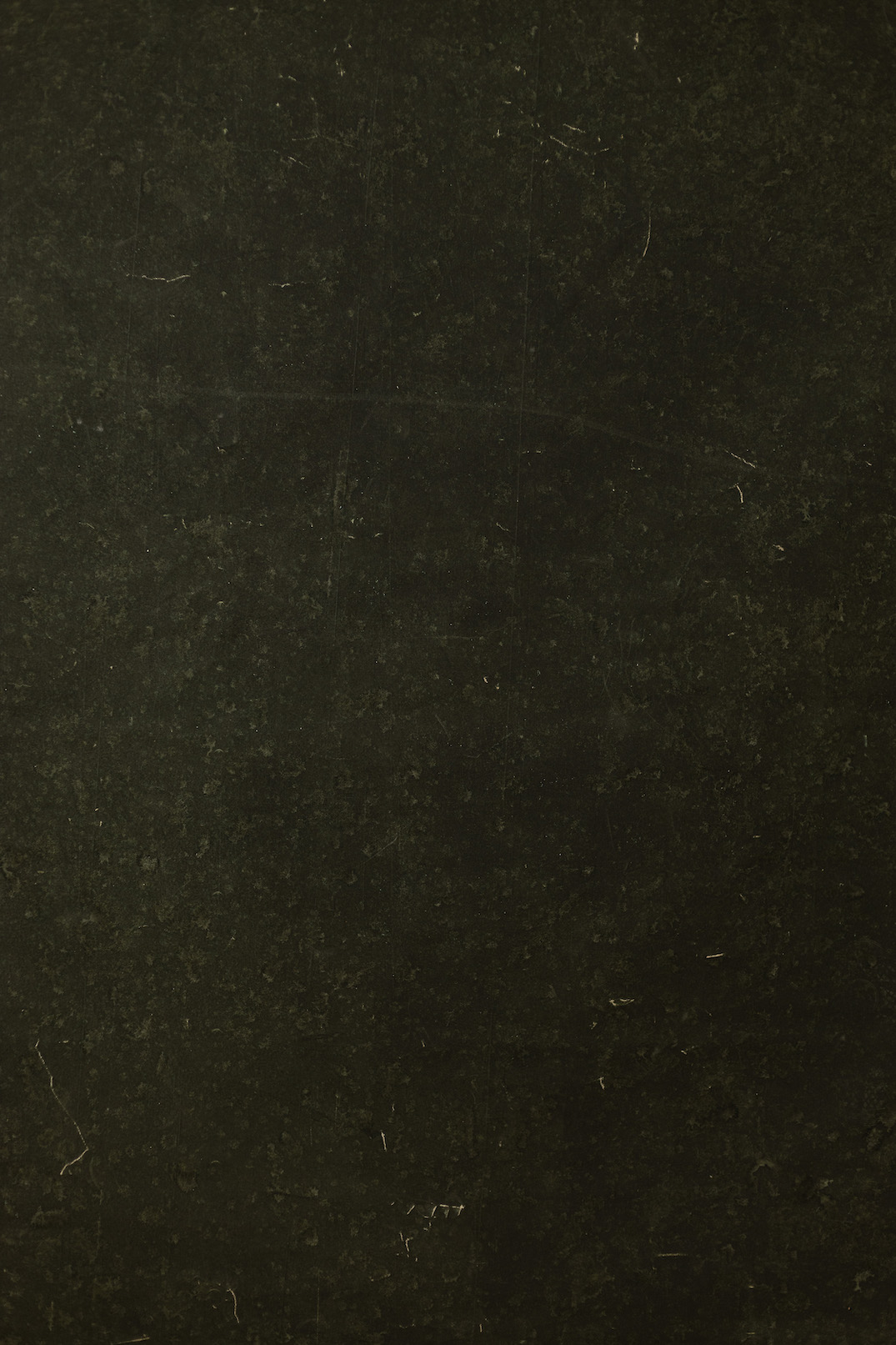Rangoon Green Digital Backdrop (DB#10102)