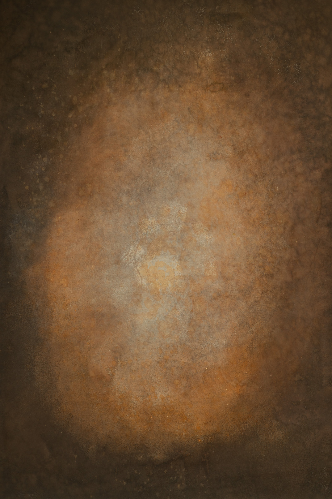 Picked Bean Digital Backdrop (DB#10119)