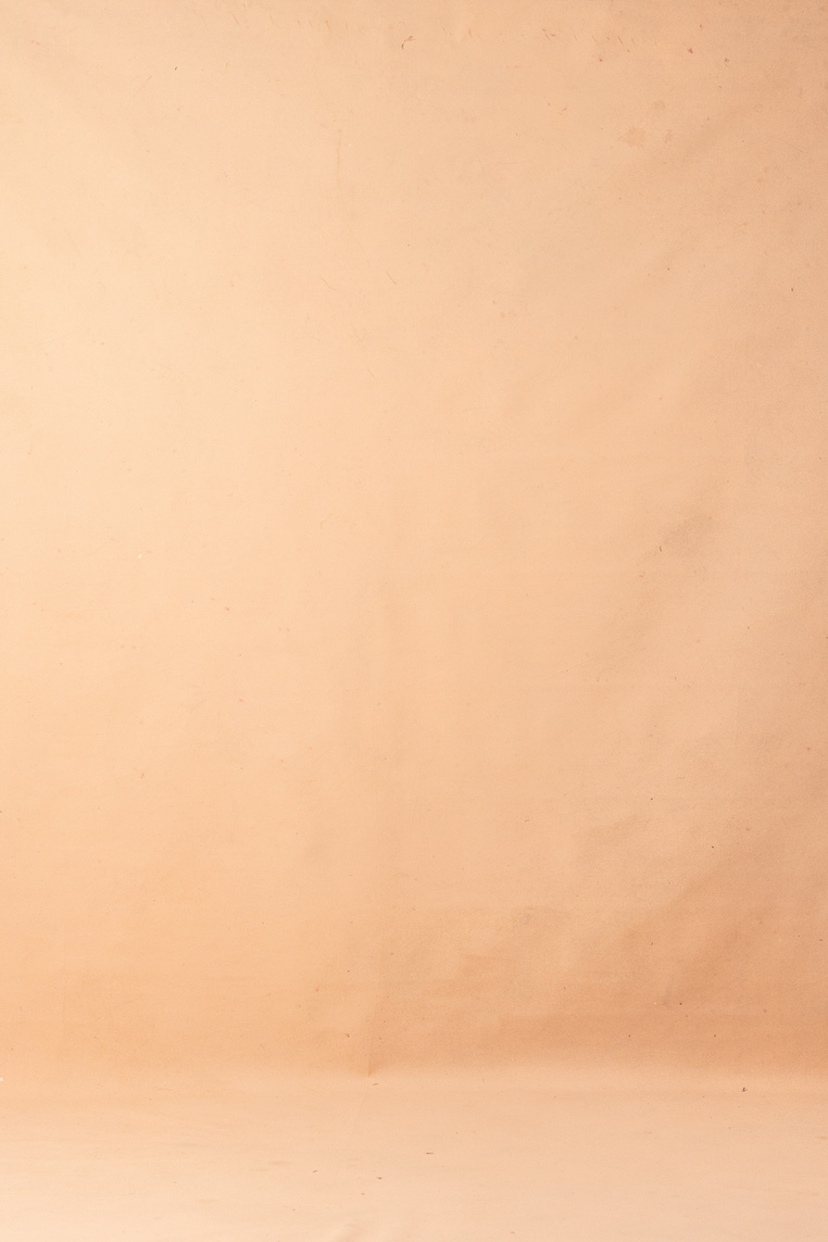 Peach Puff Digital Backdrop (DB#10169)