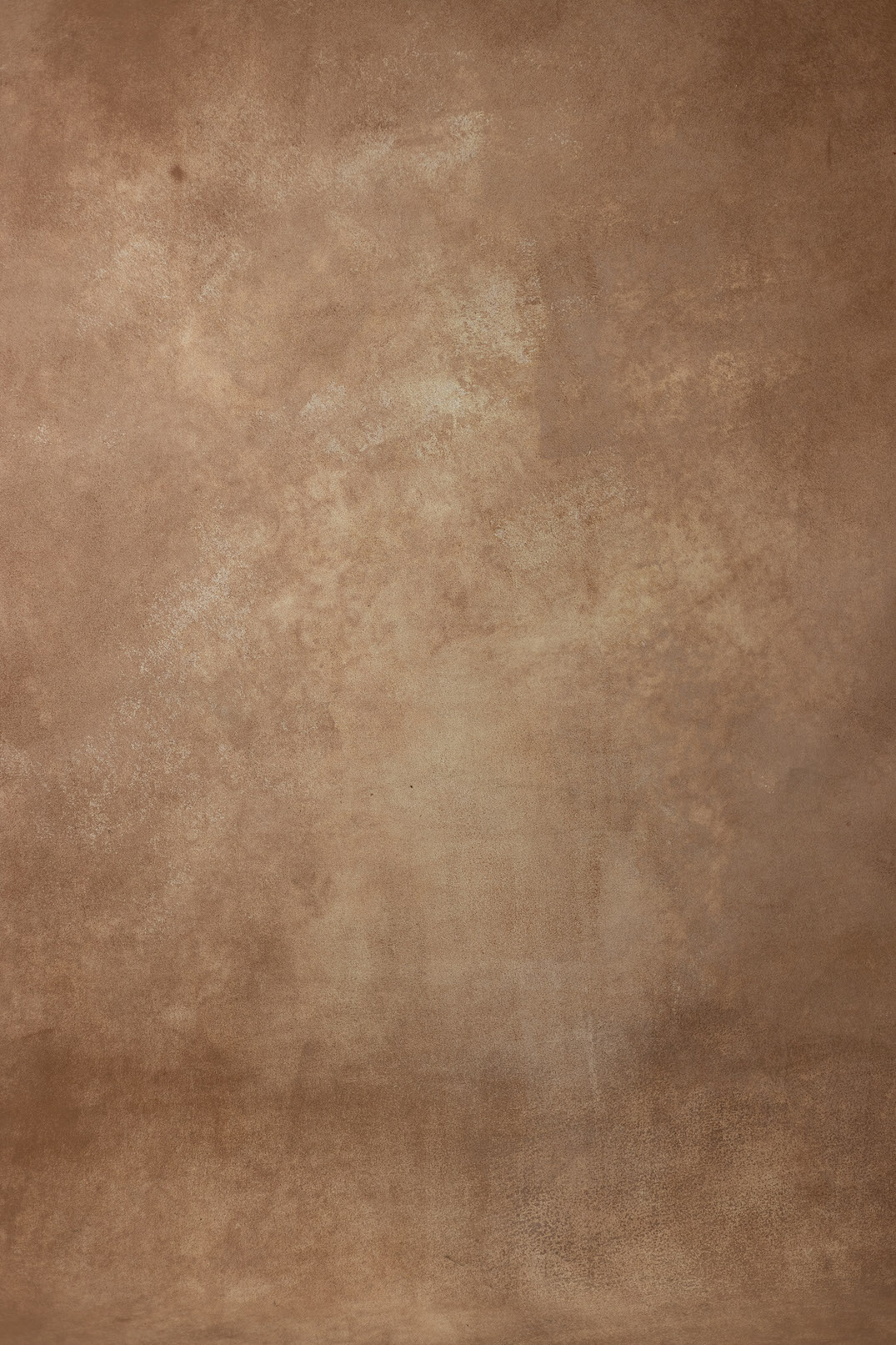 Pale Taupe Digital Backdrop (DB#10106)