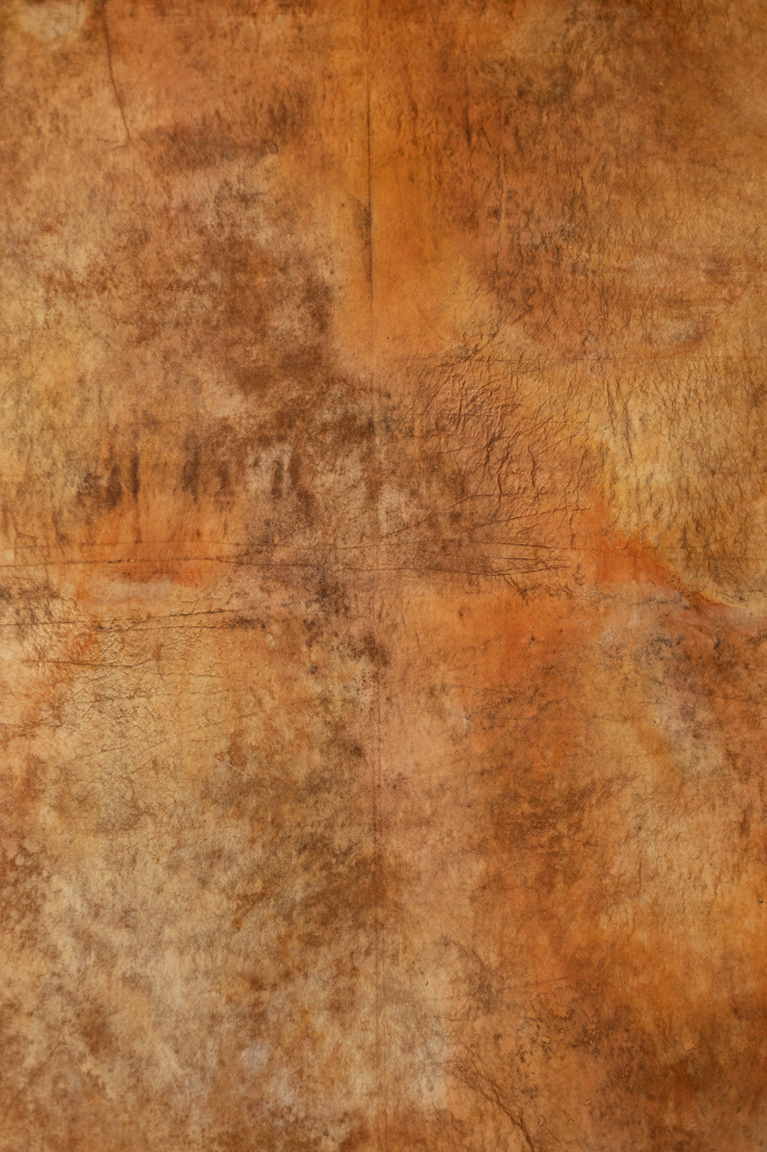 Orange Salmon Digital Backdrop (DB#10108)