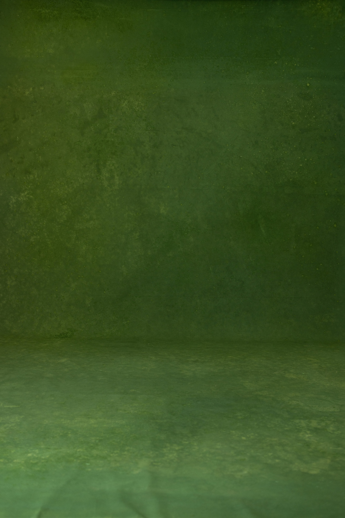 Myrtle Digital Backdrop (DB#10201)
