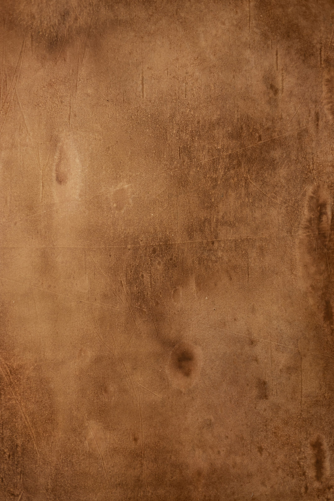 Mule Fawn Digital Backdrop (DB#10111)