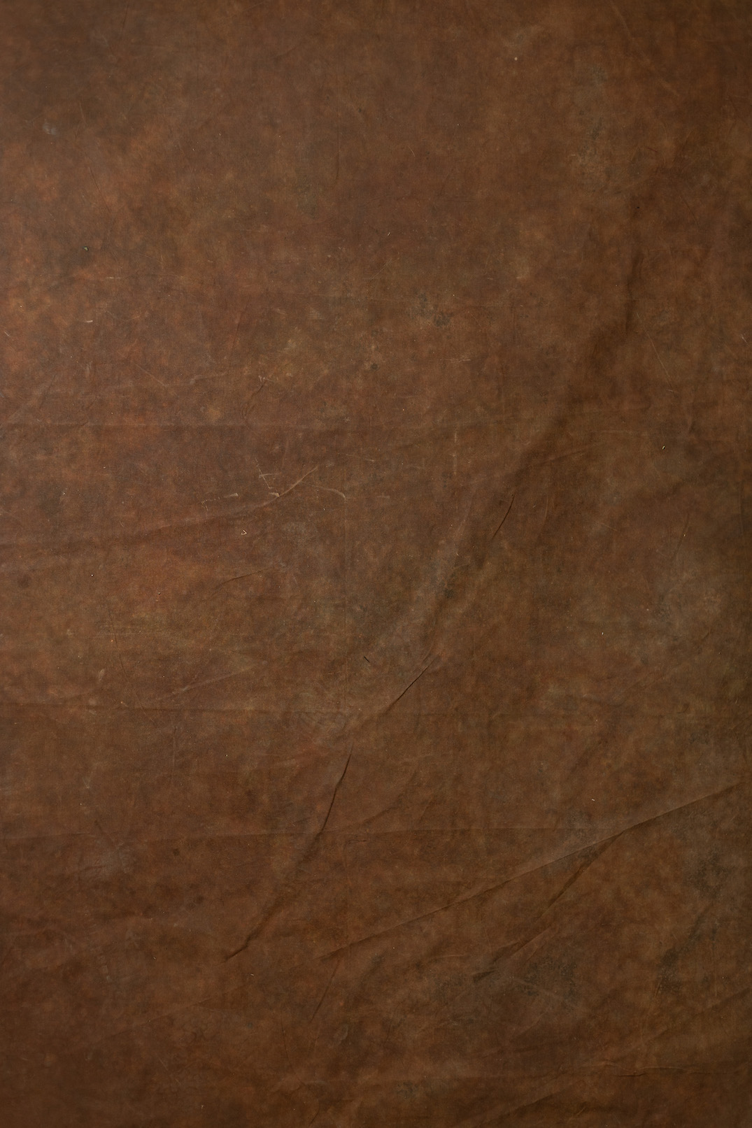 Metallic Bronze Digital Backdrop (DB#10104)