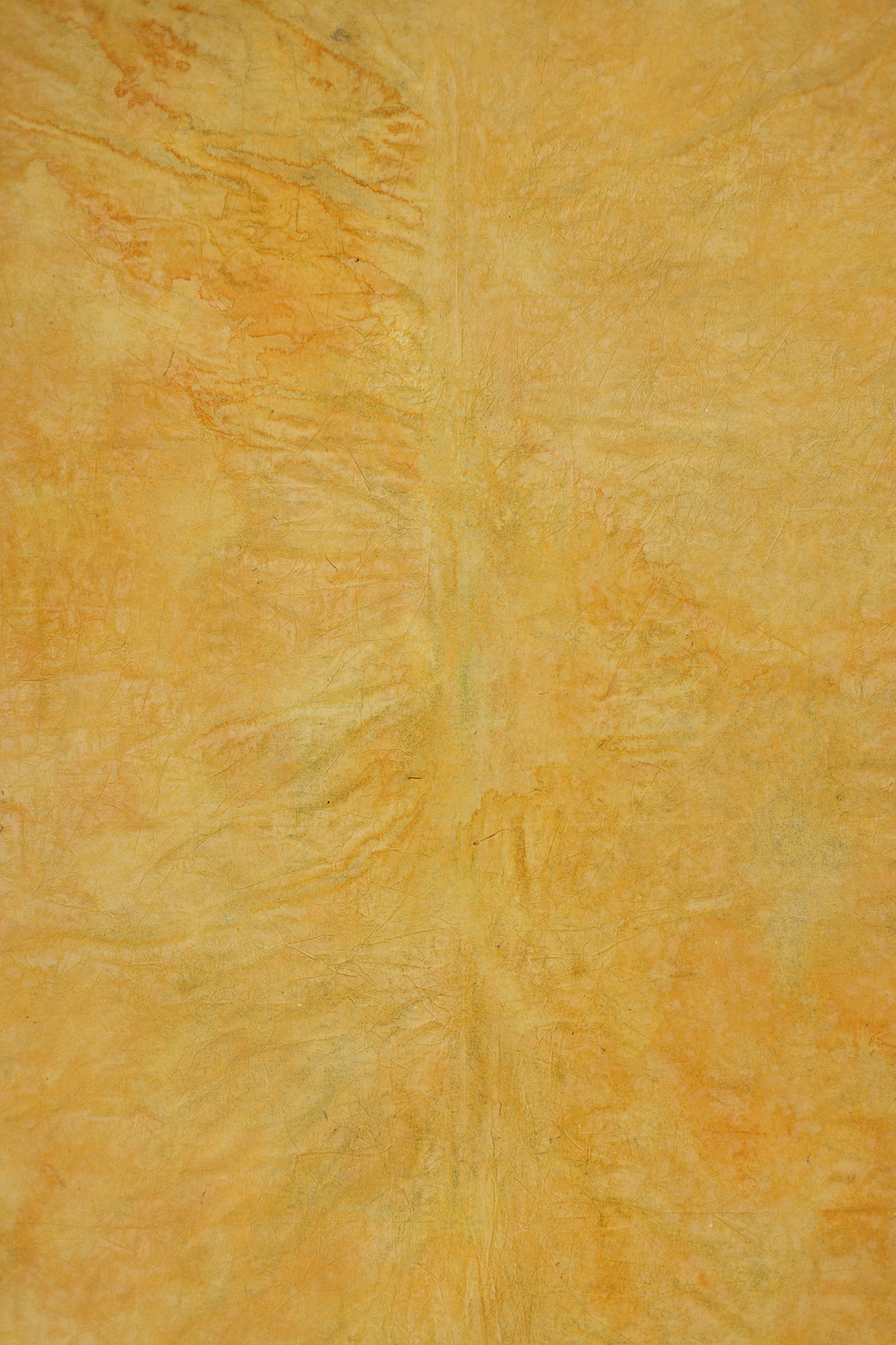 Mac And Cheese Digital Backdrop (DB#10045)