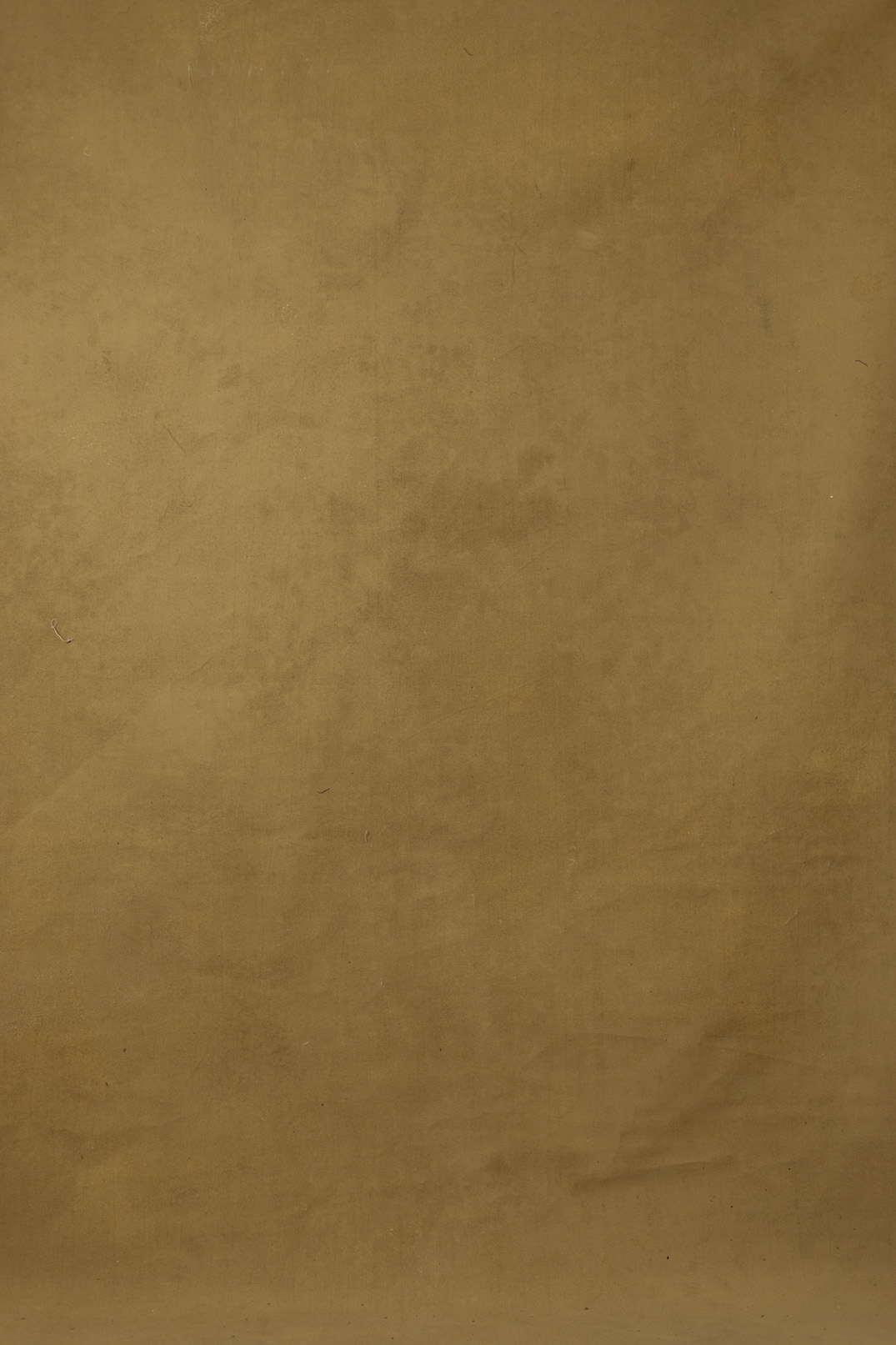 Limed Oak Digital Backdrop (DB#10103)