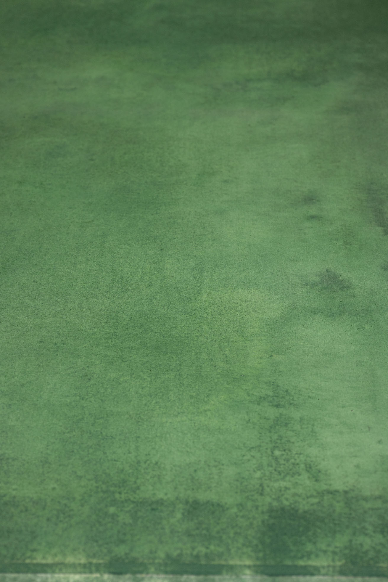Highland Green Digital Backdrop (DB#10200)