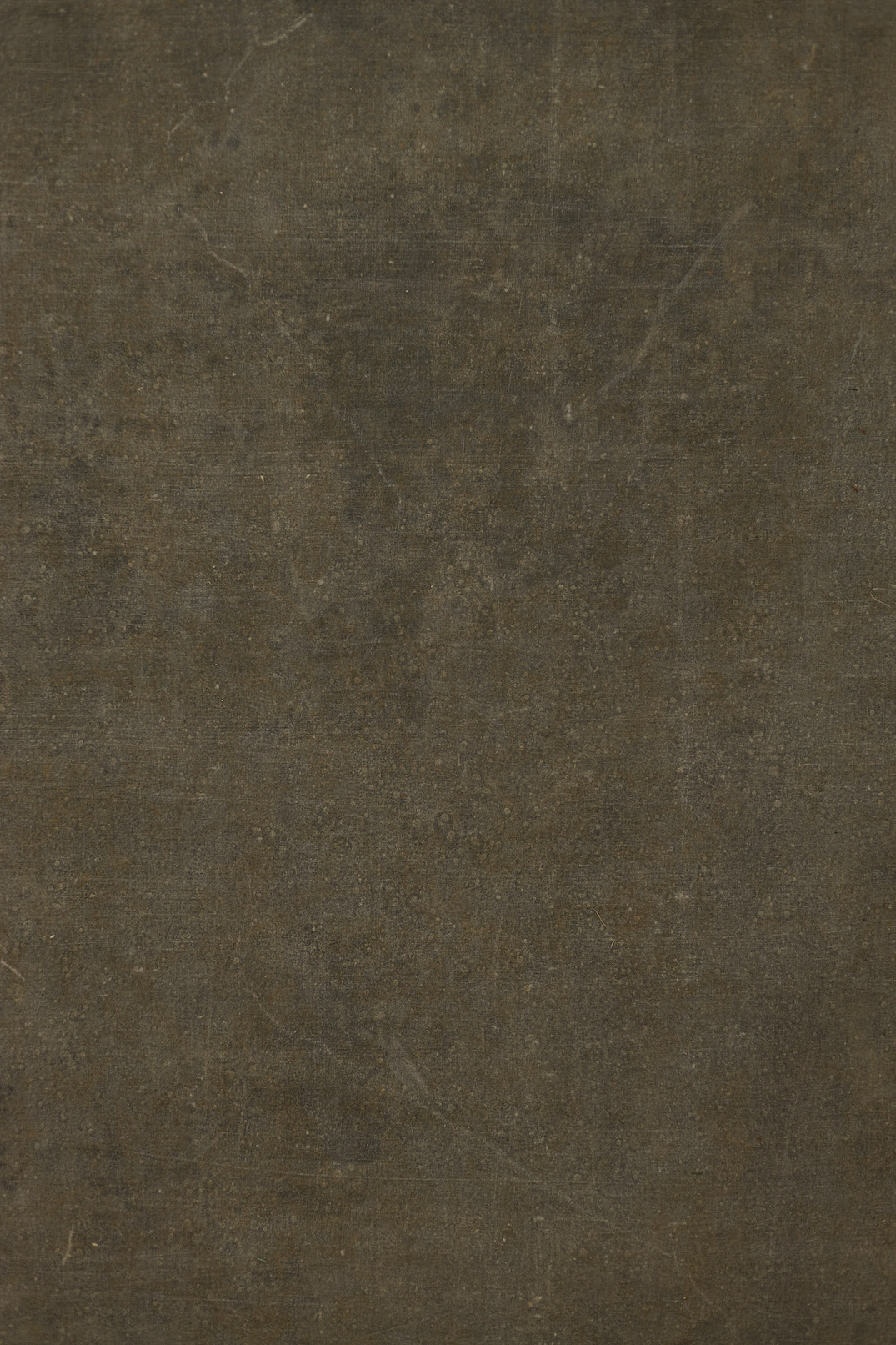 Hemlock Digital Backdrop (DB#10120)
