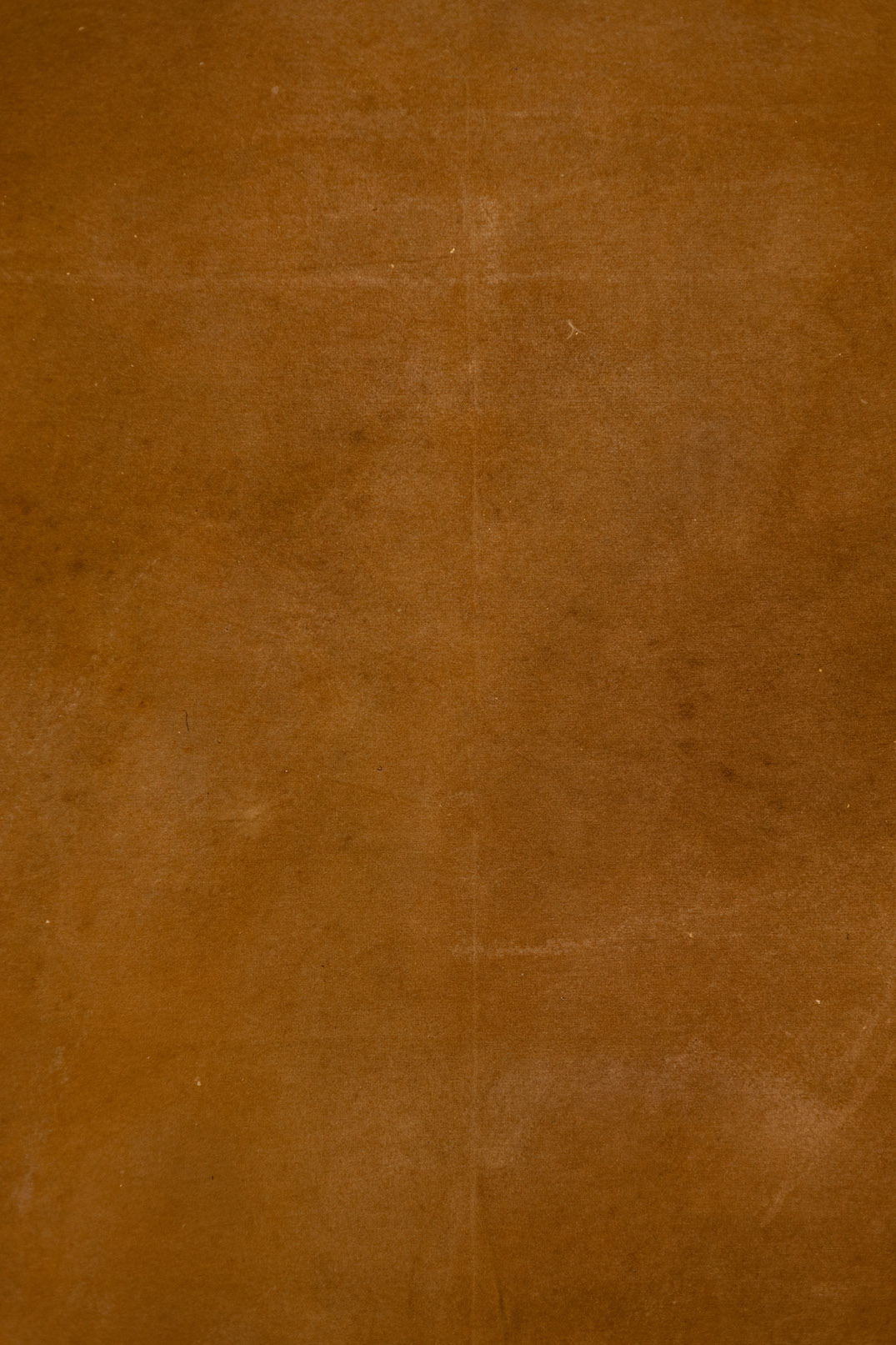 Hawaiian Tan Digital Backdrop (DB#10117)