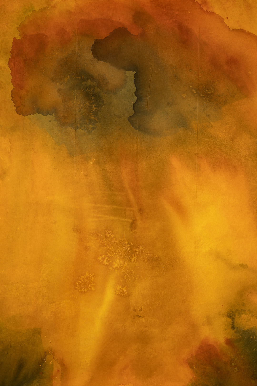 Golden Rays Digital Backdrop (DB#10186)