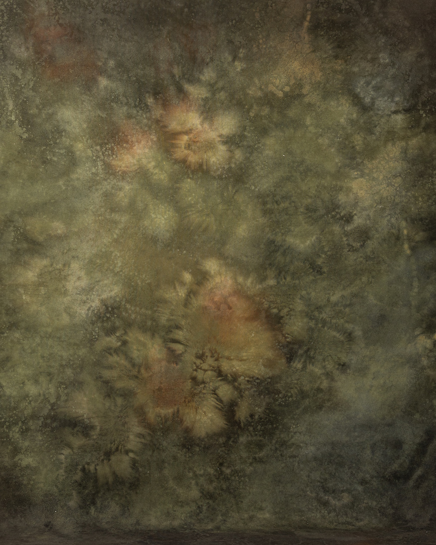 Forest Brown Digital Backdrop (DB#10142)