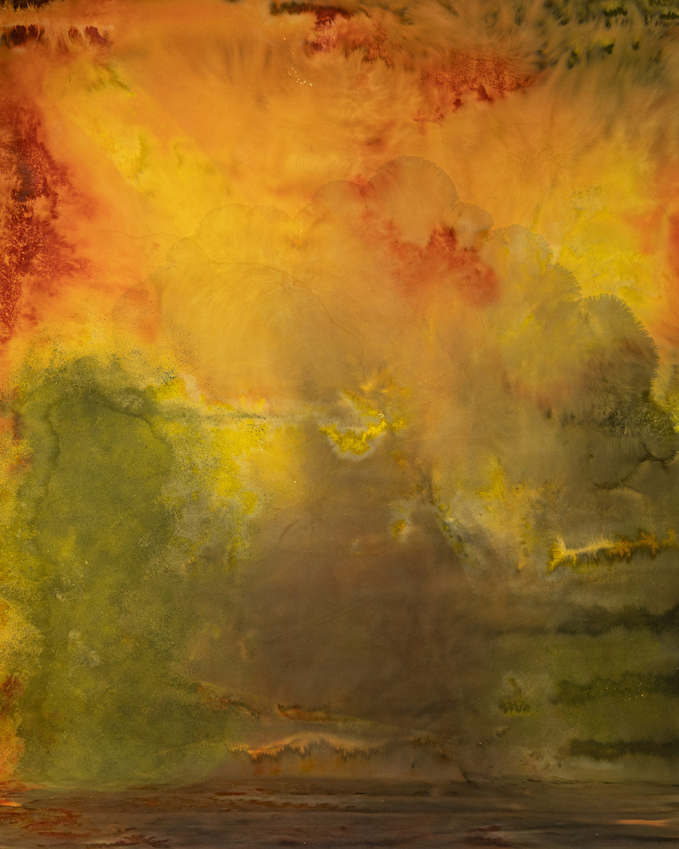 Fire Bush Digital Backdrop (DB#10191)