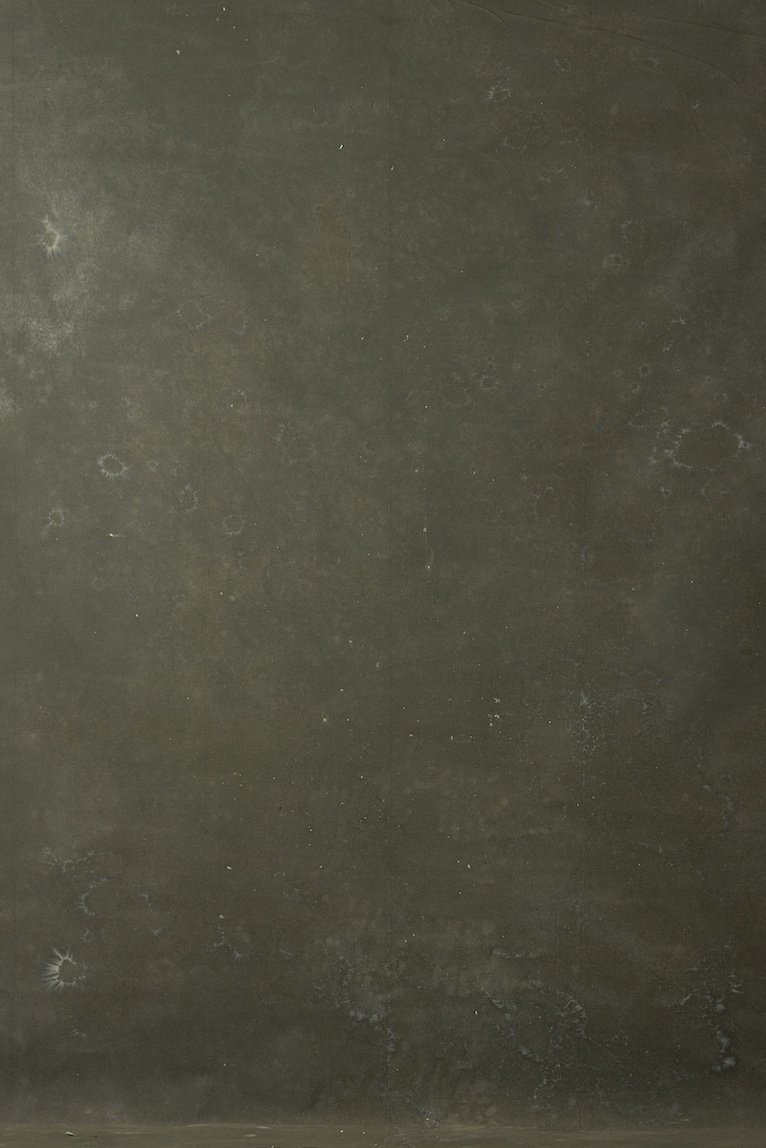 Flint Green Digital Backdrop (DB#10145)