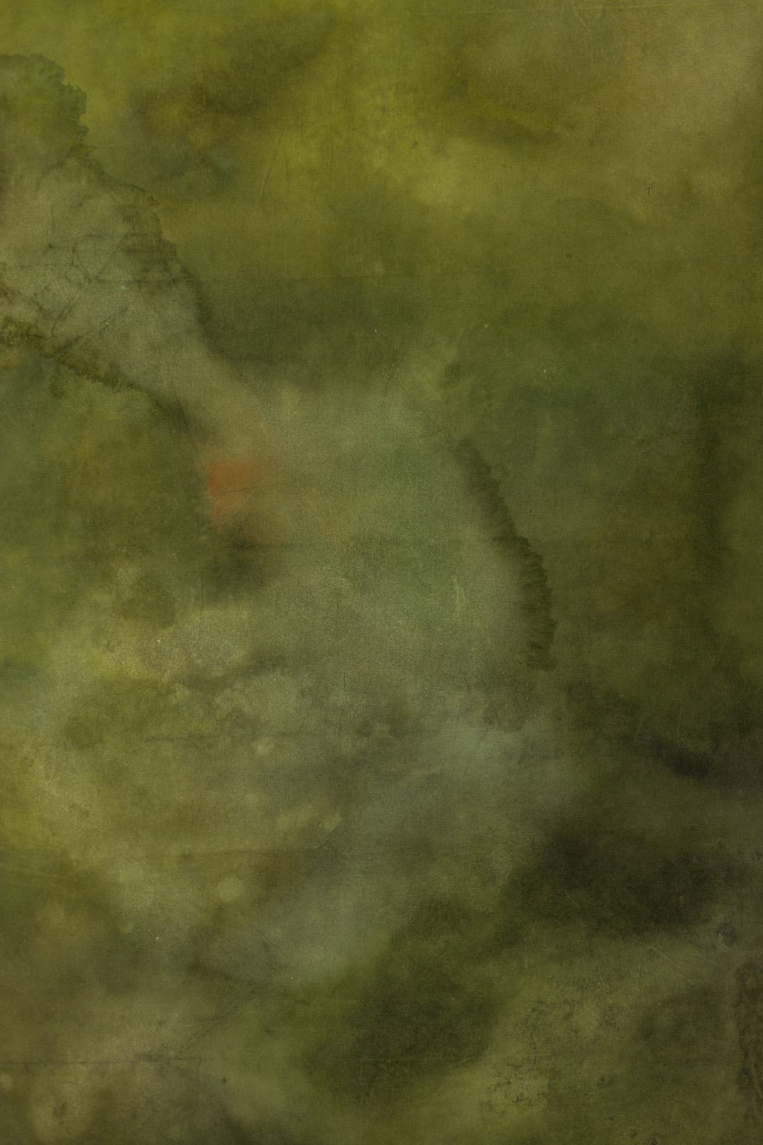 Fern Frond Digital Backdrop (DB#10109)