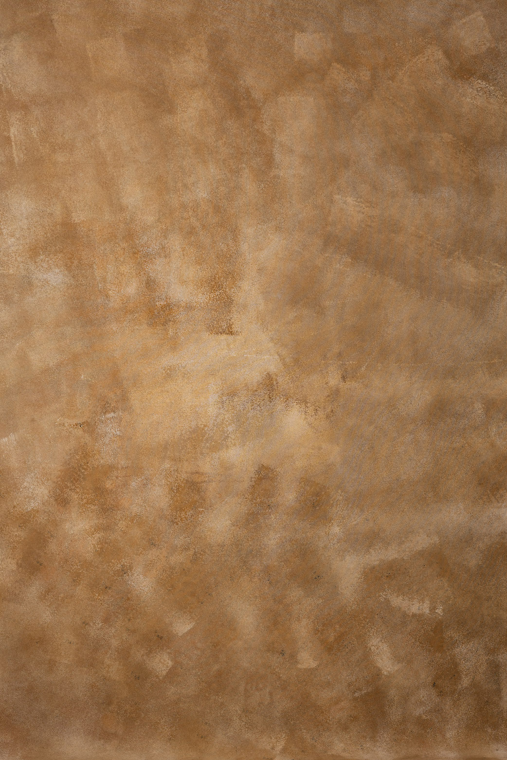 Driftwood Digital Backdrop (DB#10140)