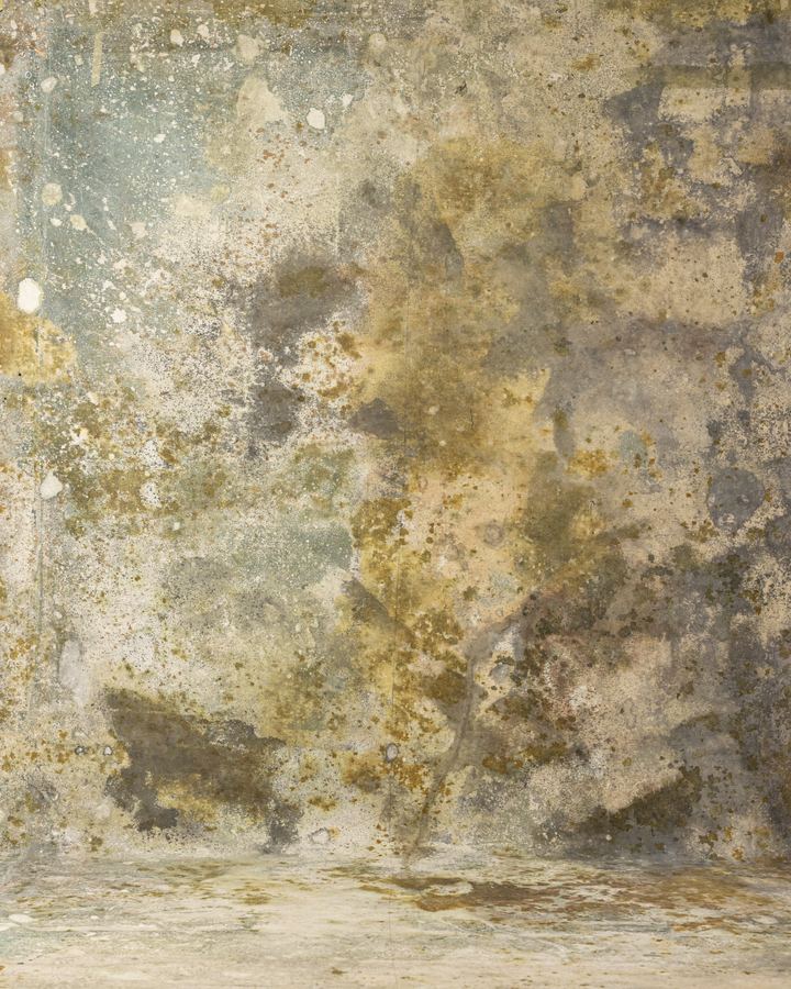 Coral Reef Digital Backdrop (DB#10167)