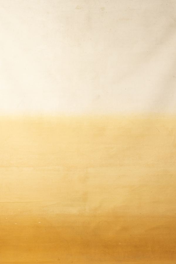 Chardonnay Gradient Digital Backdrop (DB#10075)