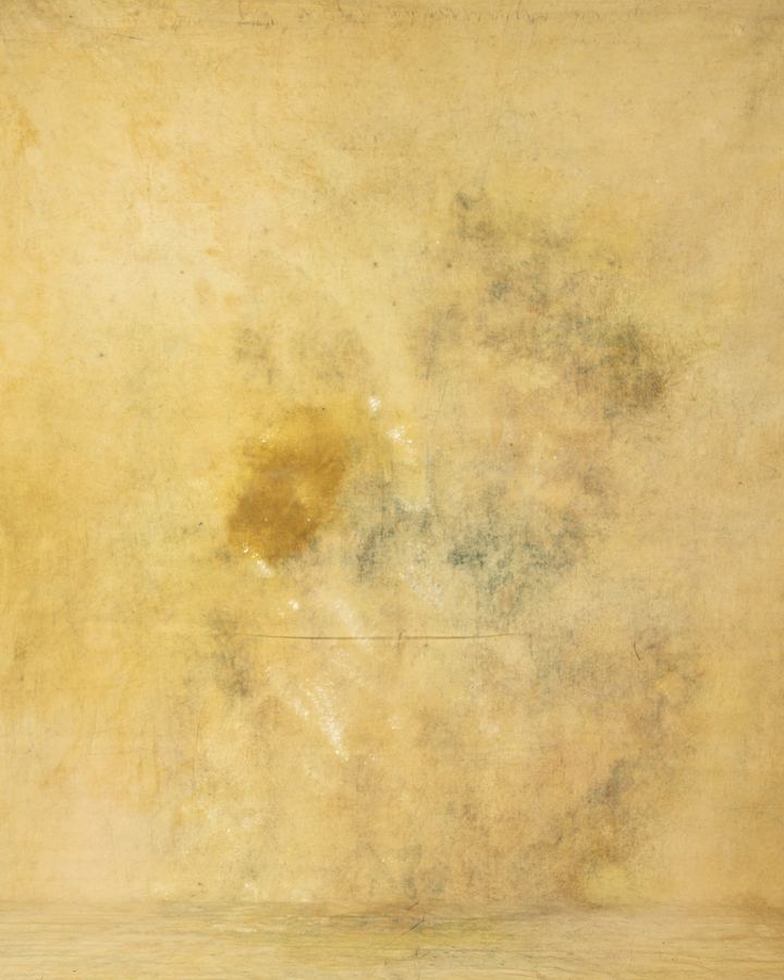 Camel Grunge Digital Backdrop (DB#10041)