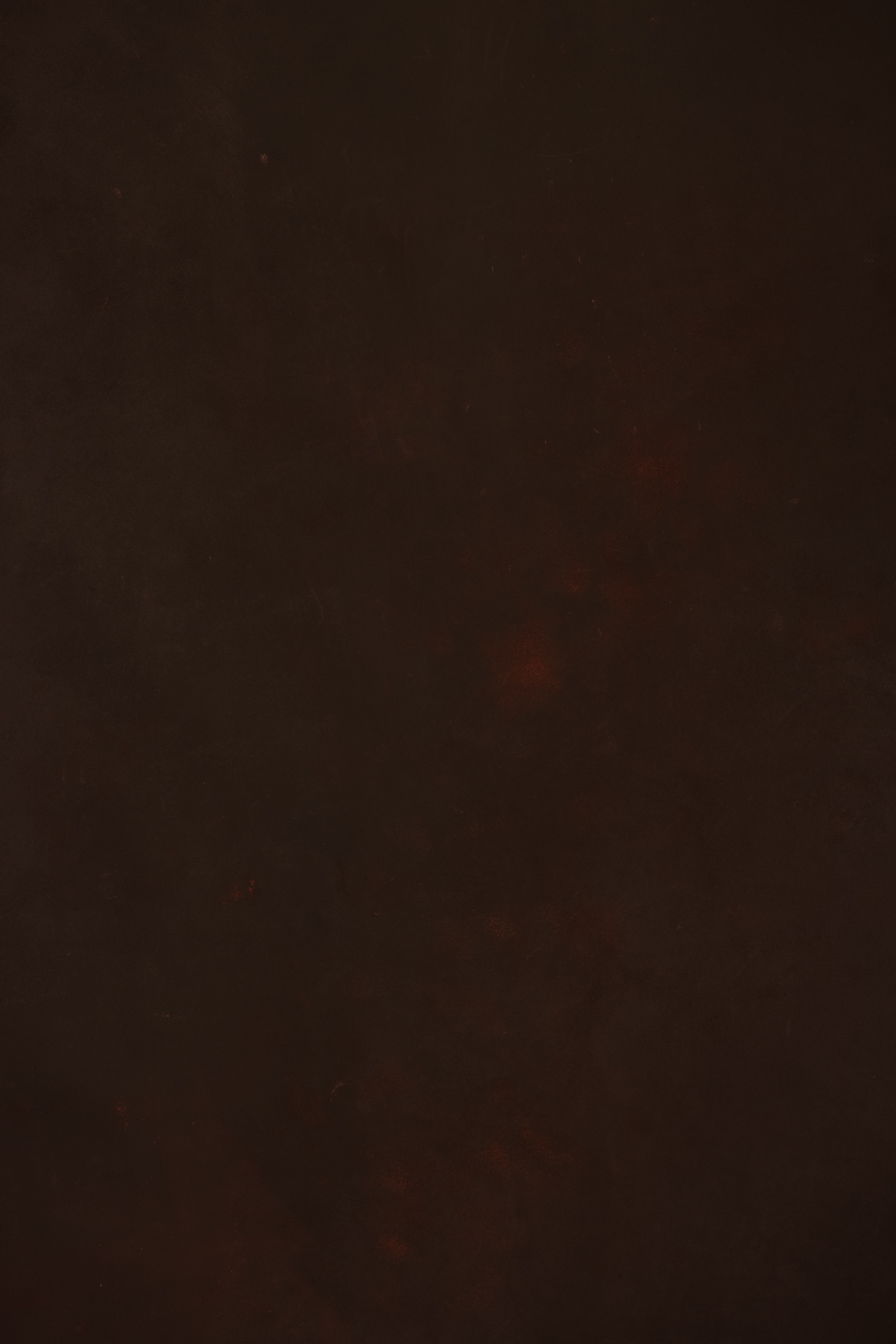 Mahogany Painted Canvas Backdrop (RN#562) view 2