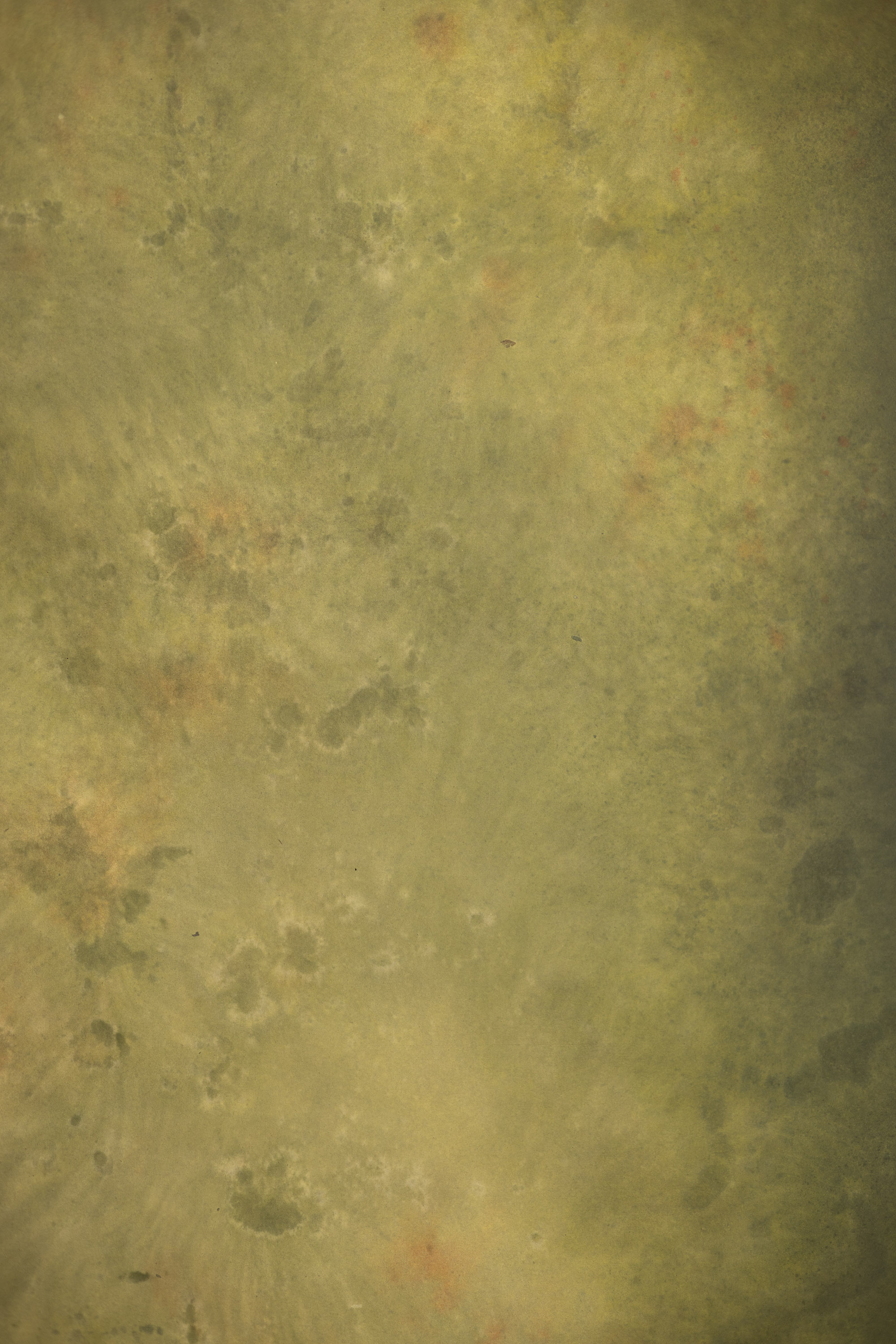 Olive Reverie Painted Canvas Backdrop (RN#551) view 2