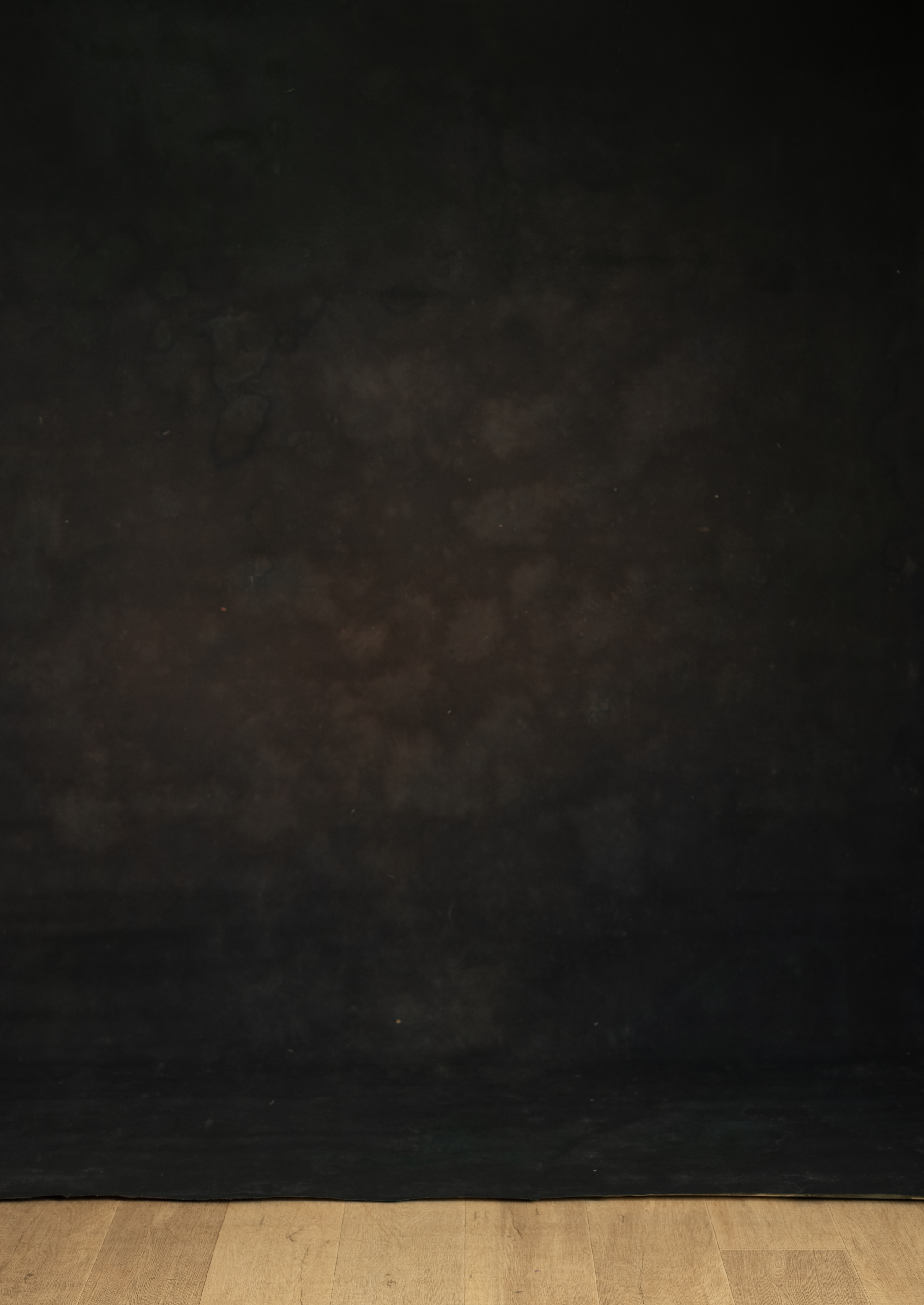 Midnight Hollow Painted Canvas Backdrop (RN#554) view 2