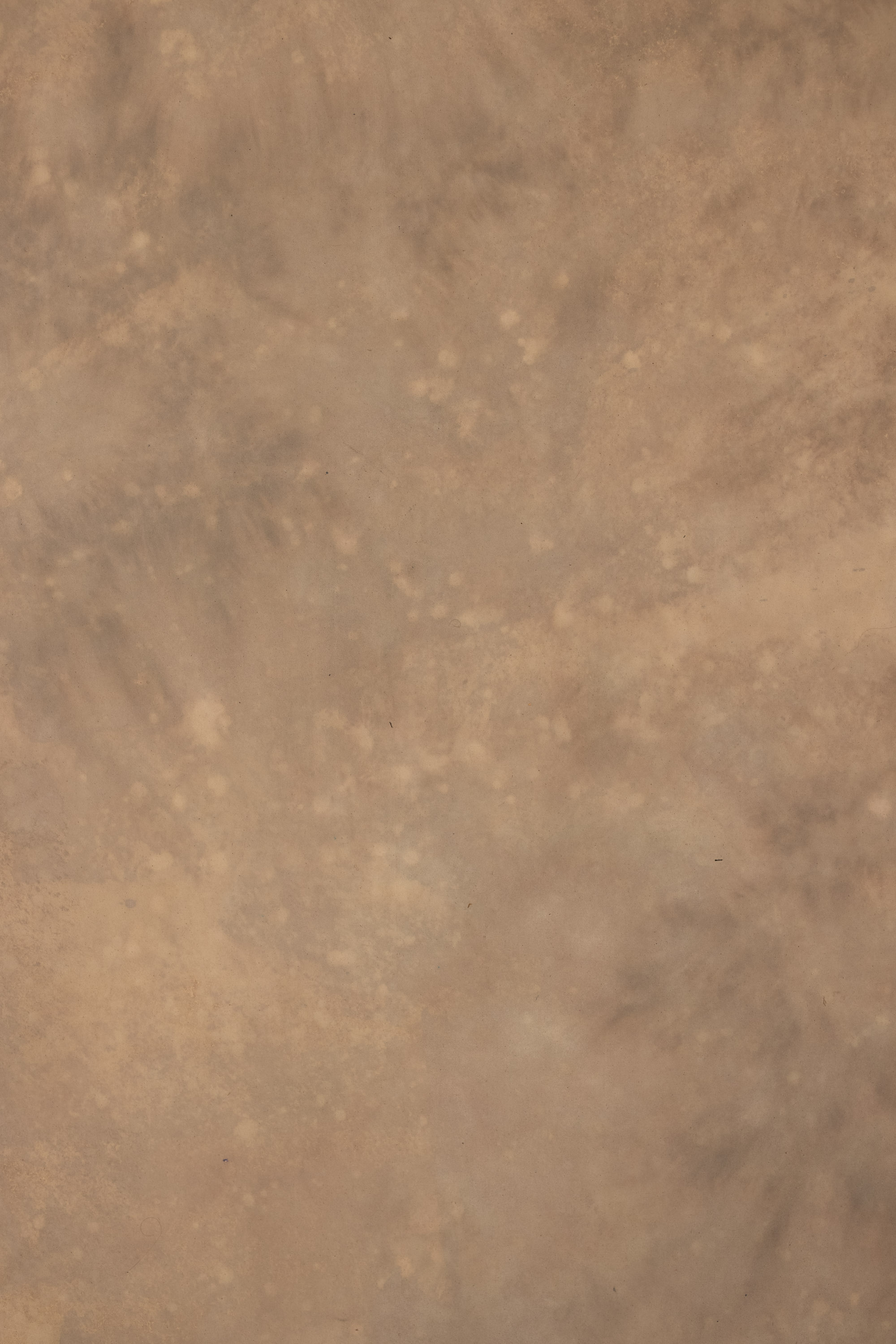 Rose Dust Painted Canvas Backdrop (RN#559) view 5