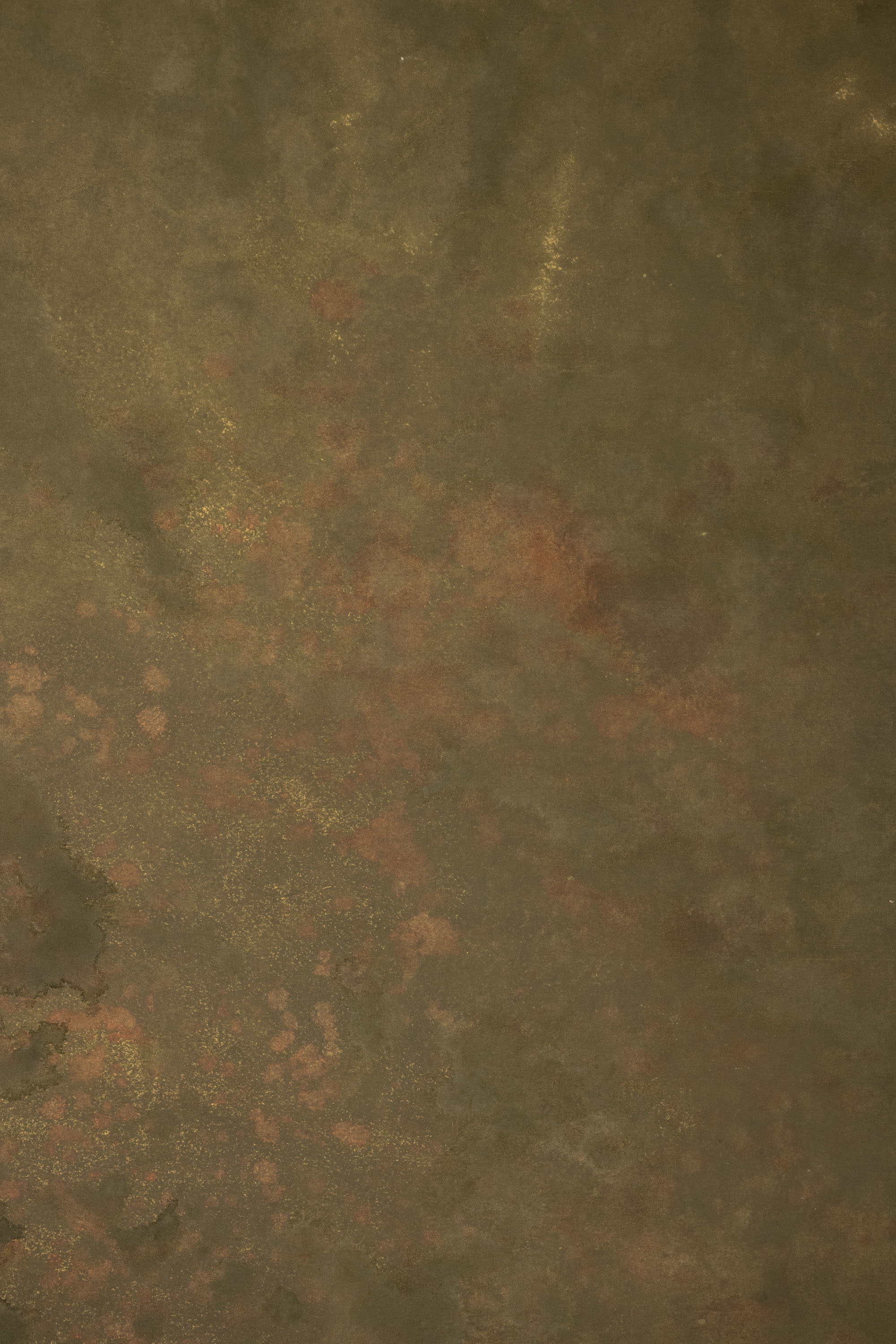 Finch Painted Canvas Backdrop (RN#564) view 2