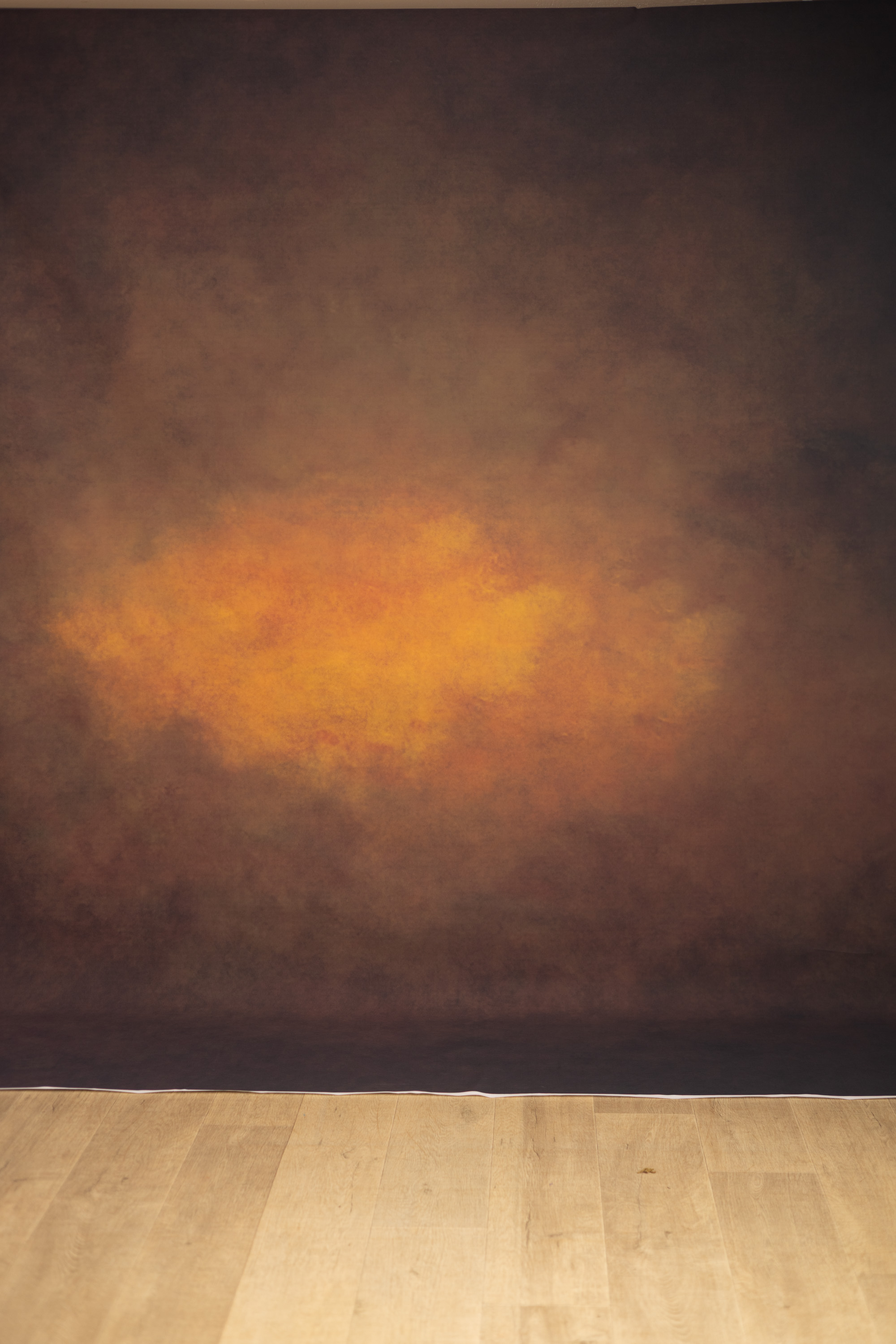 Fox Fire Printed Paper Backdrop (RN#574) view 3