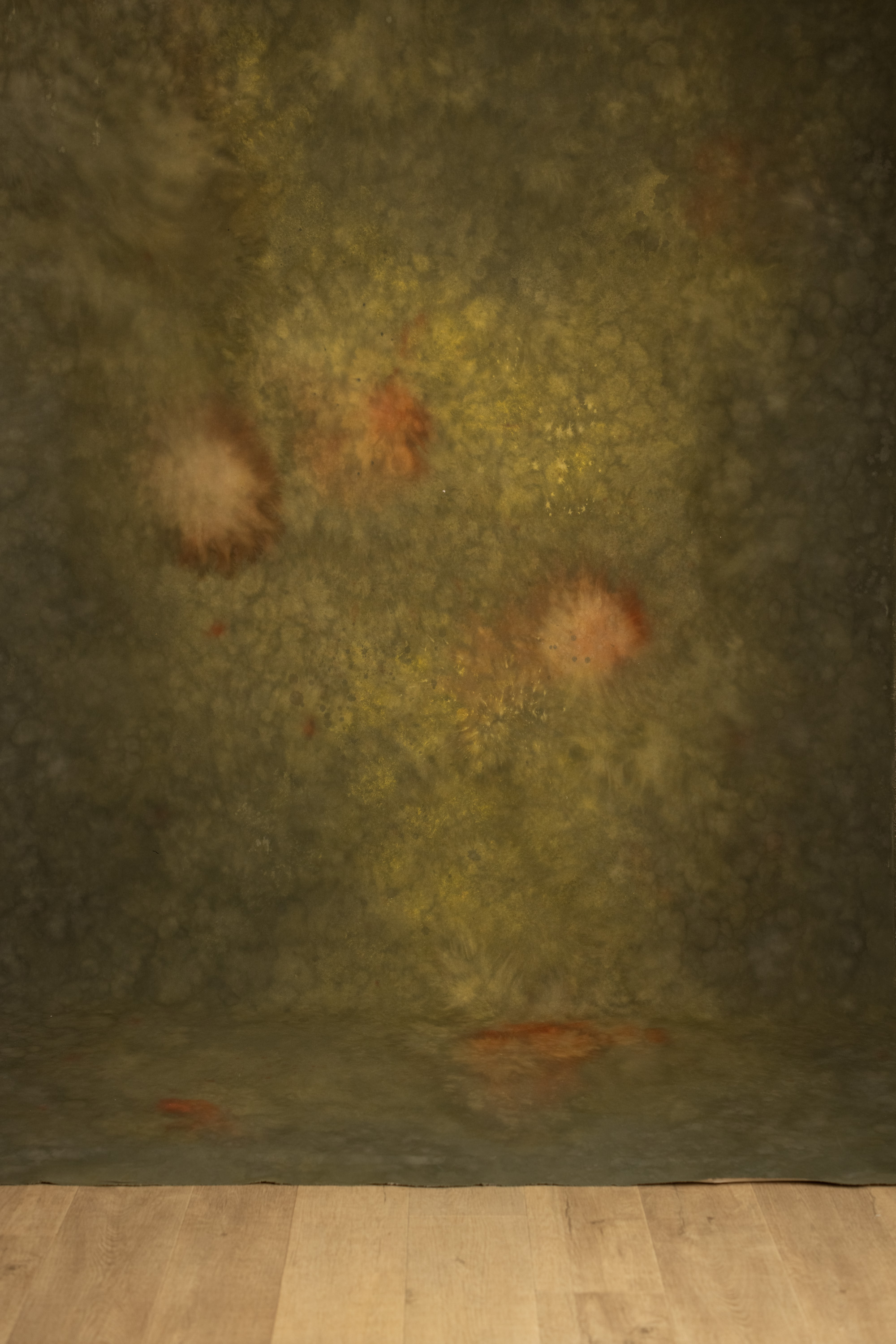 Pesto Painted Canvas Backdrop (RN#560) view 3