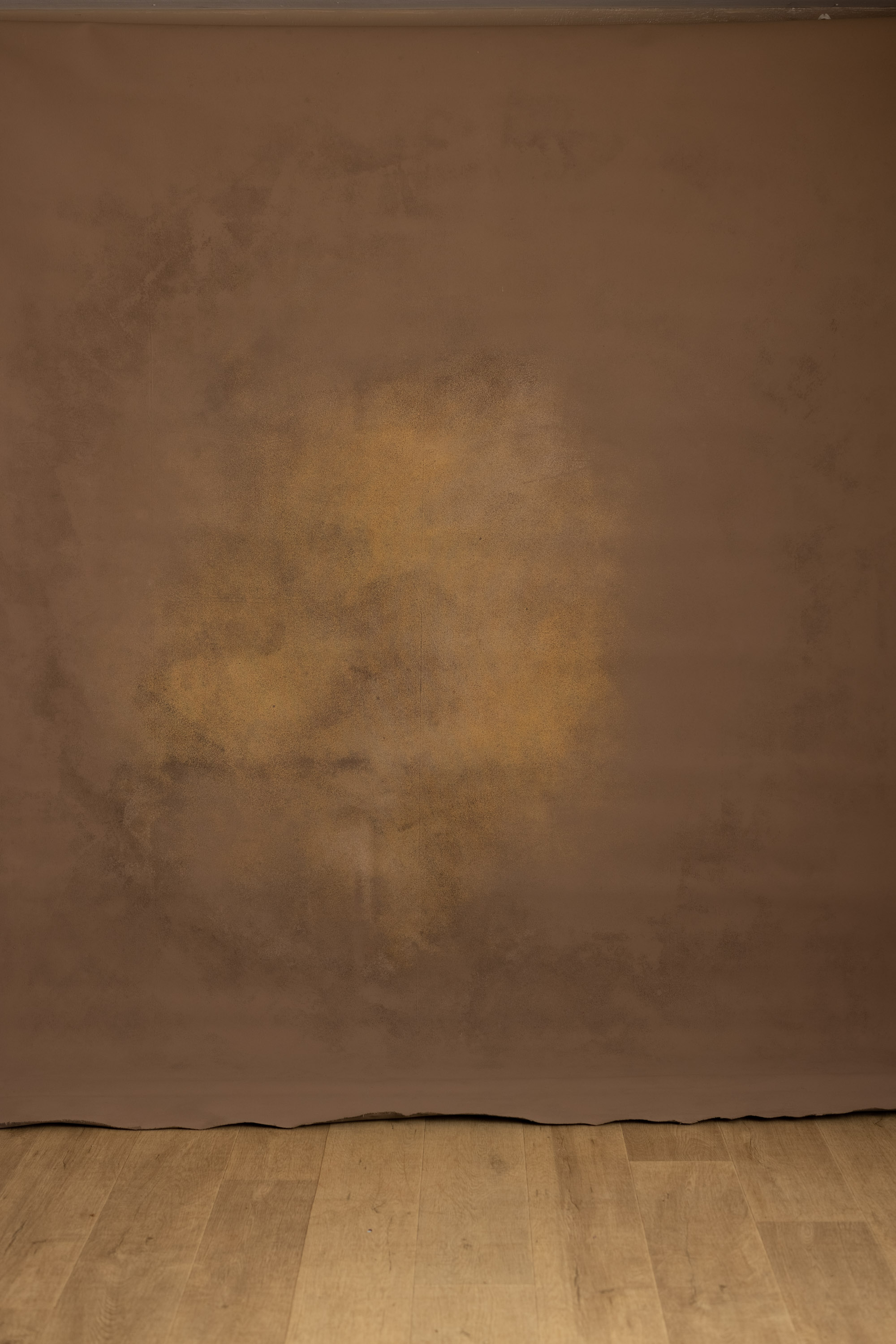 Cocoa Dust Painted Canvas Backdrop (RN#558) view 6
