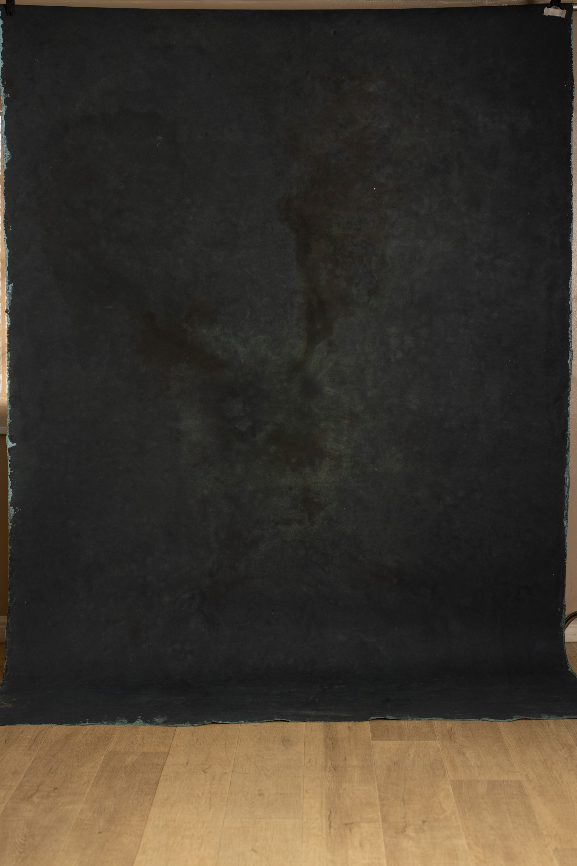Tidal Moss Painted Canvas Backdrop (RN#555) view 3