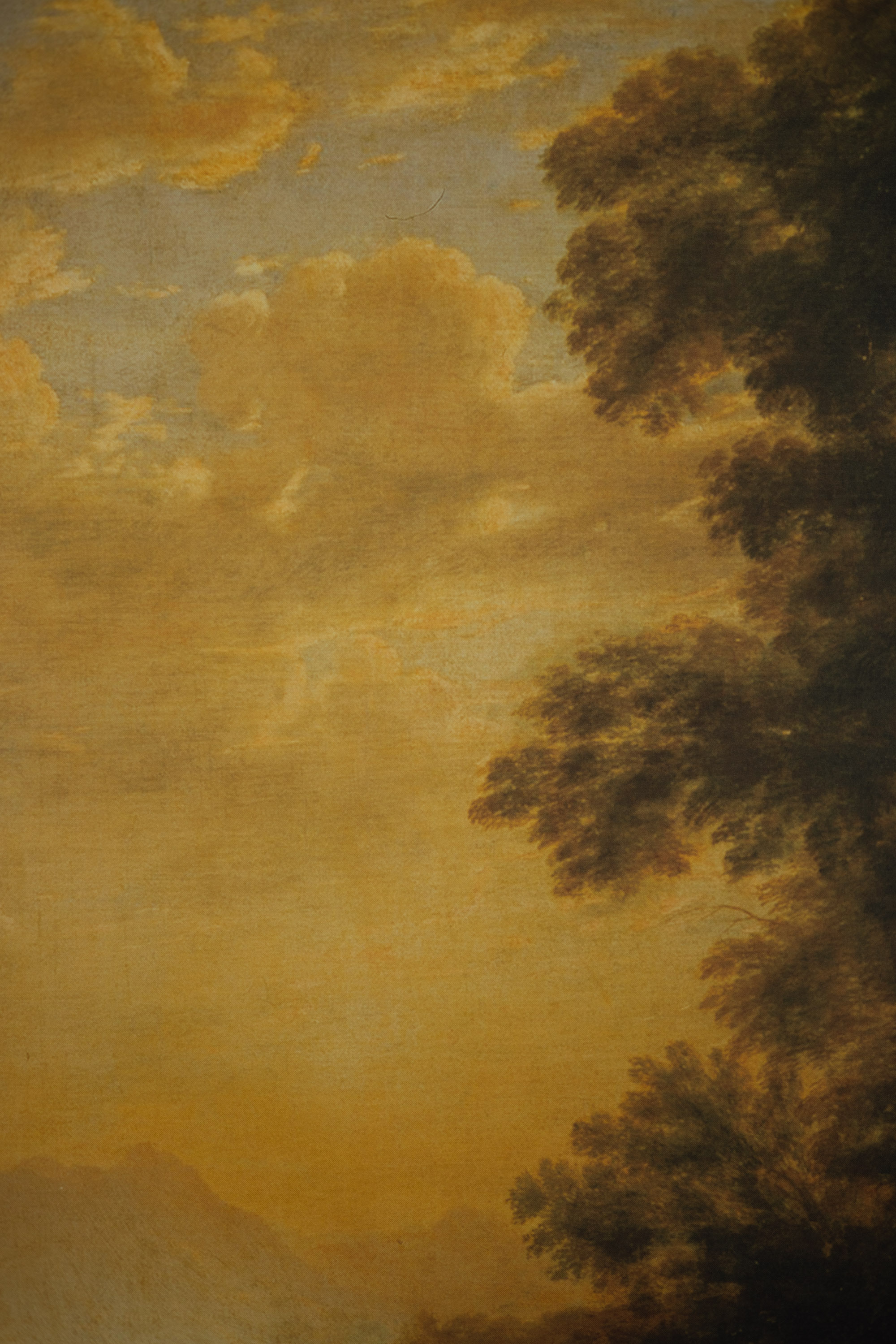 Golden Arcadia Printed Paper Backdrop(RN#576) view 2