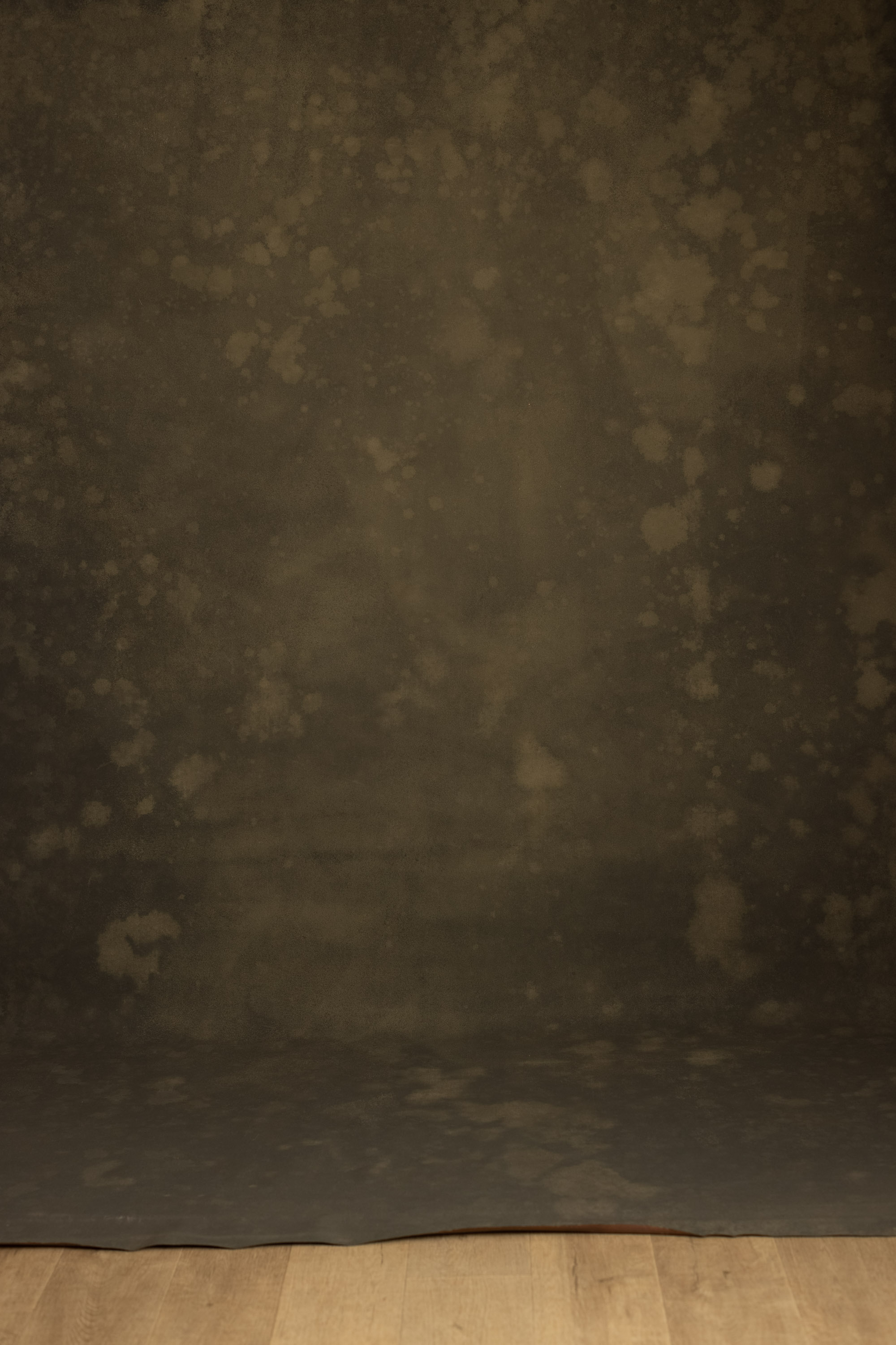 Moss Cinnamon Painted Canvas Backdrop (RN#563) view 3