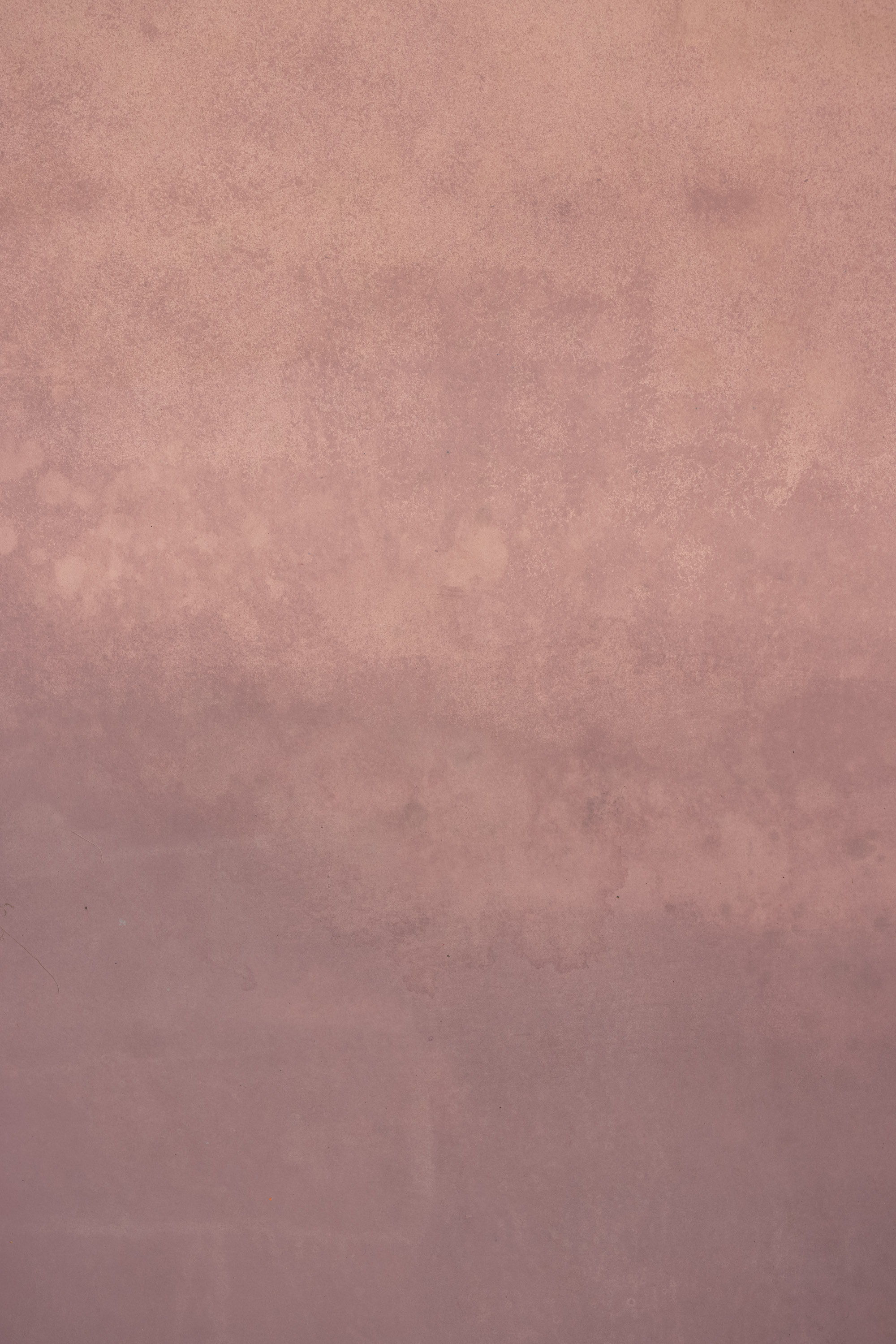 Rose Dust Painted Canvas Backdrop (RN#559) view 2