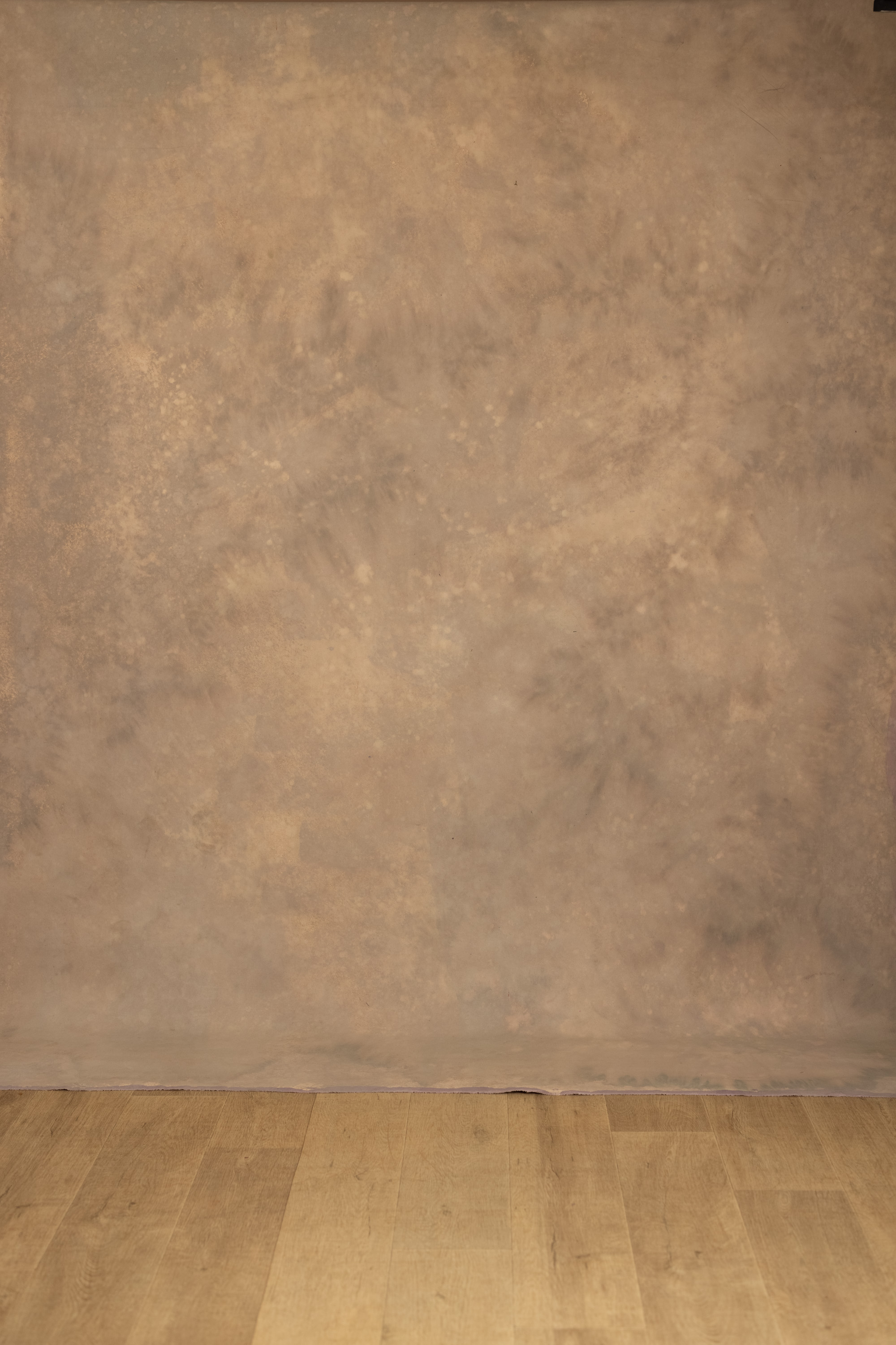 Rose Dust Painted Canvas Backdrop (RN#559) view 6