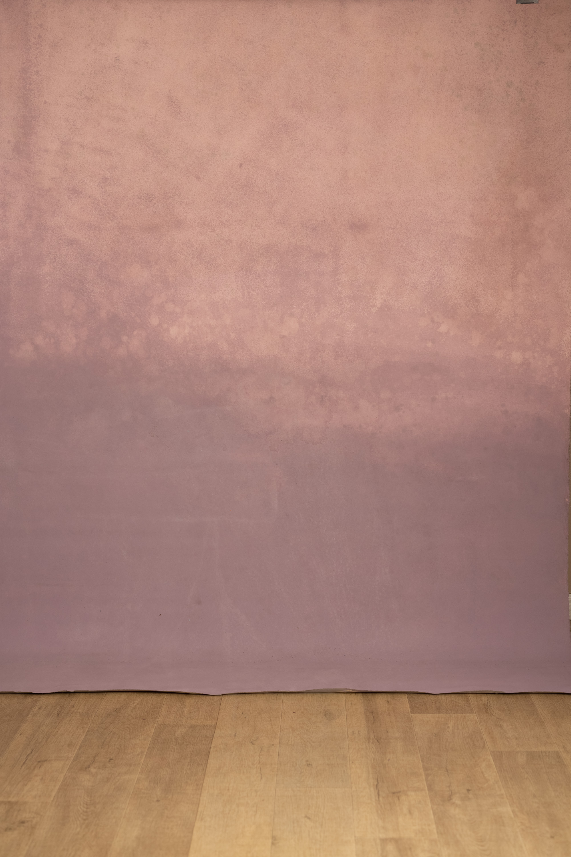 Rose Dust Painted Canvas Backdrop (RN#559) view 3