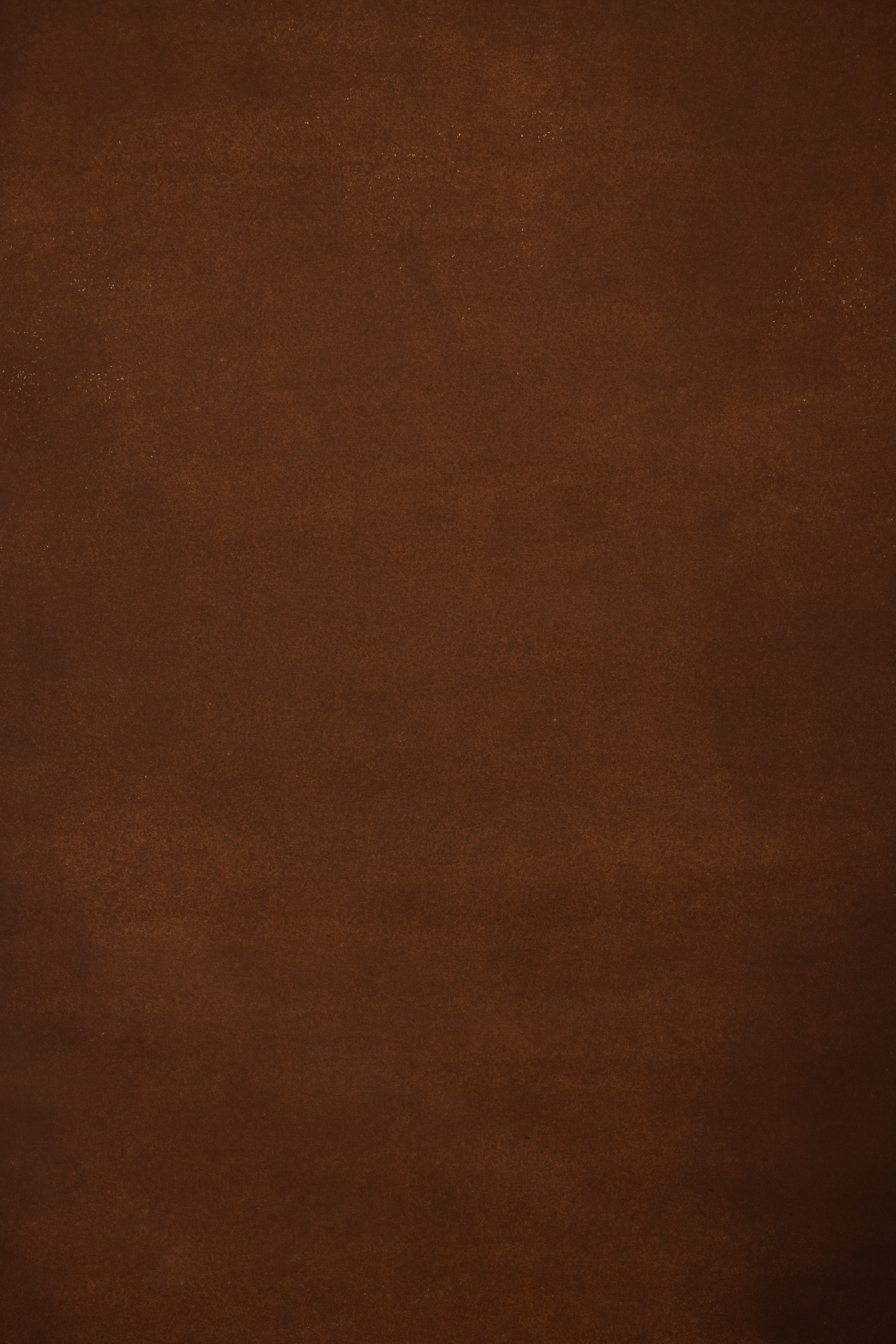 Moss Cinnamon Painted Canvas Backdrop (RN#563) view 5