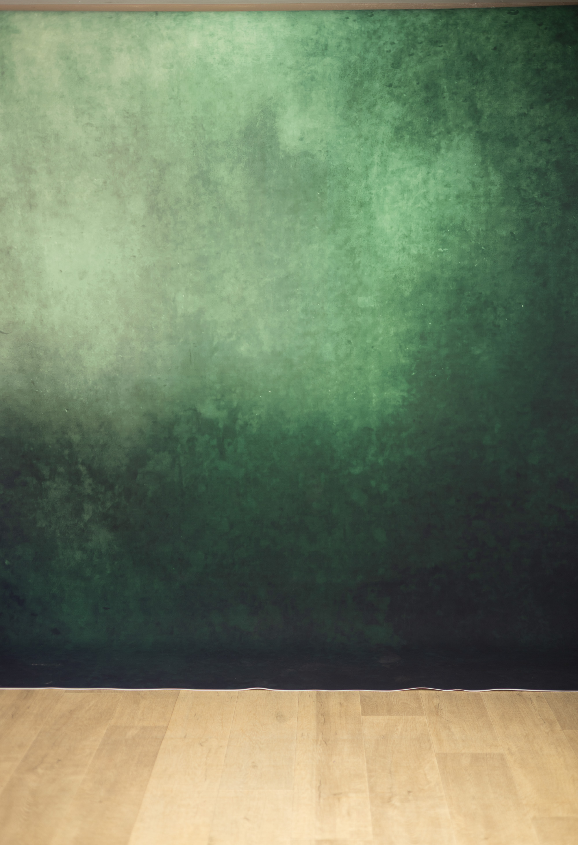 Hippie Green Printed Paper Backdrop (RN#570) view 3
