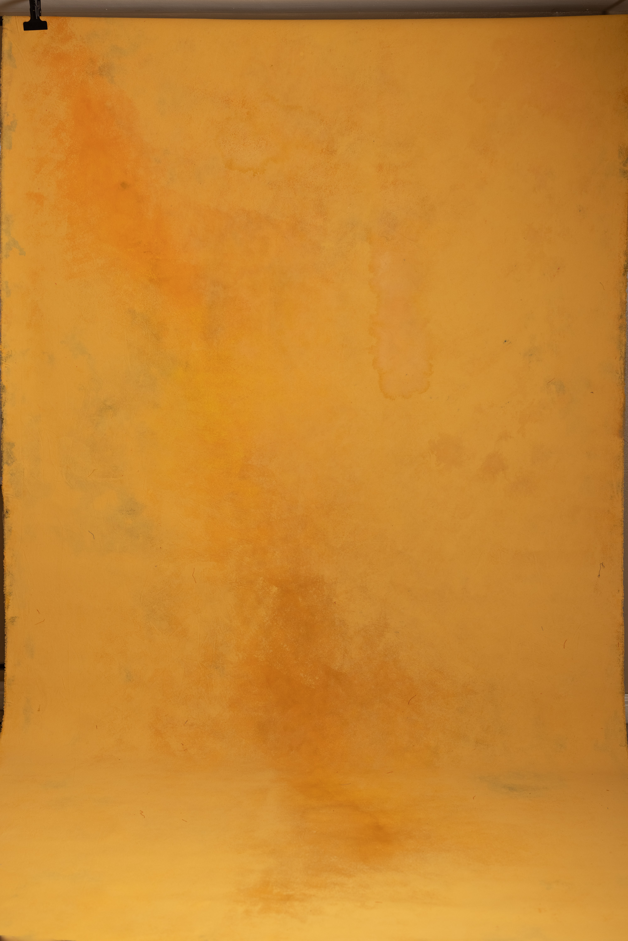 Marigold Puce Painted Canvas Backdrop (RN#568) view 5